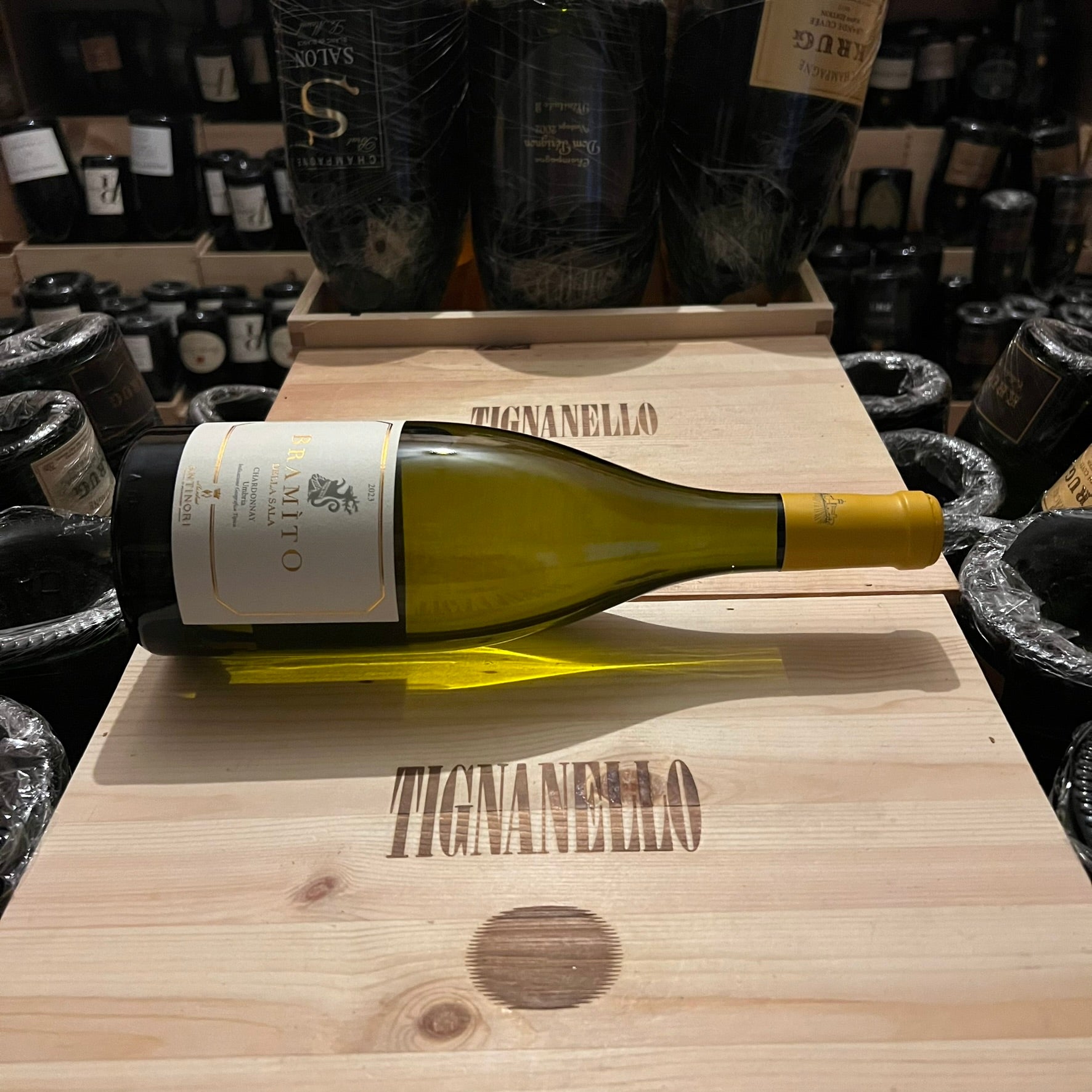 Bramito della Sala 2023 Castello della Sala Marchesi Antinori