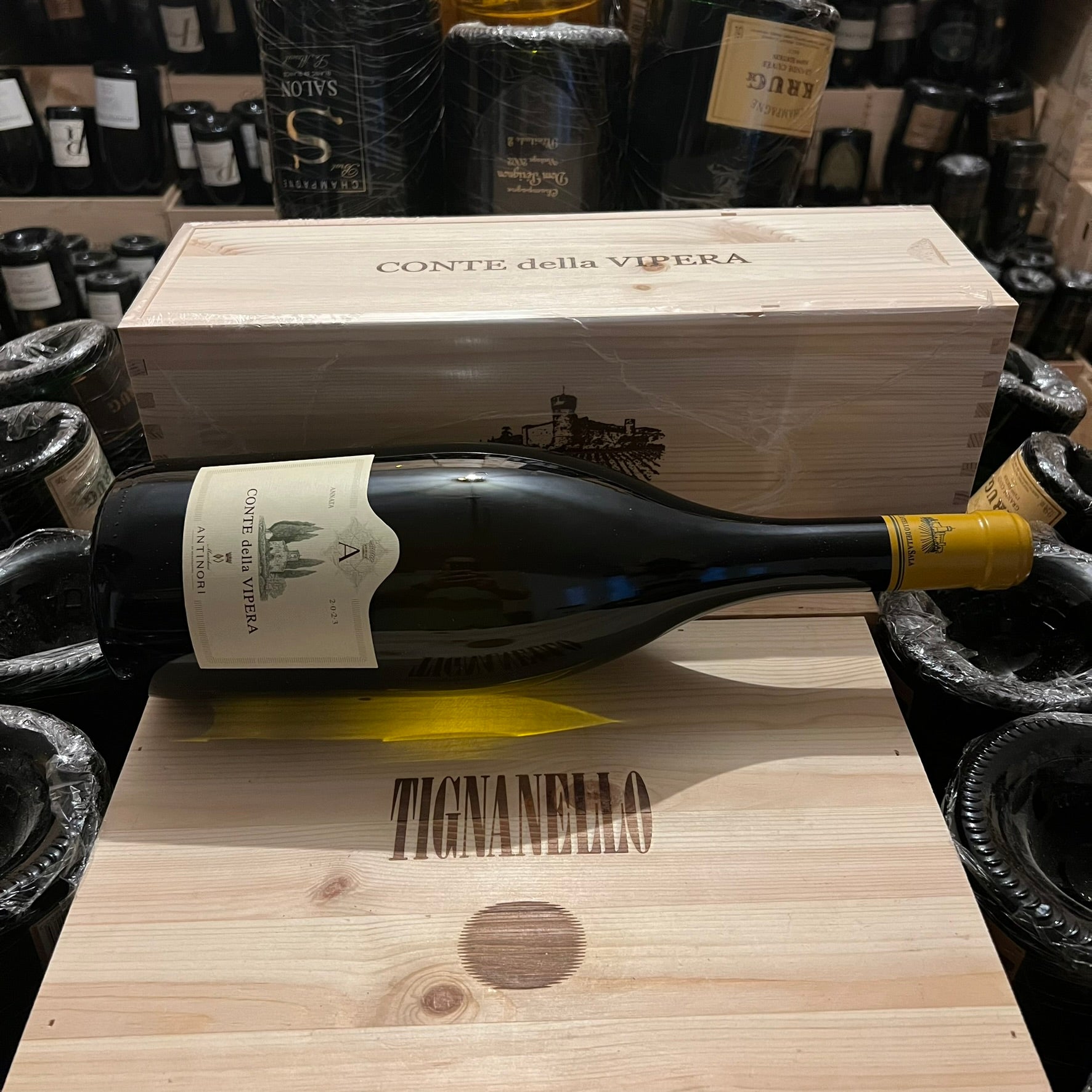 Conte della Vipera 2023 Magnum in Cassa Legno Castello della Sala Marchesi Antinori