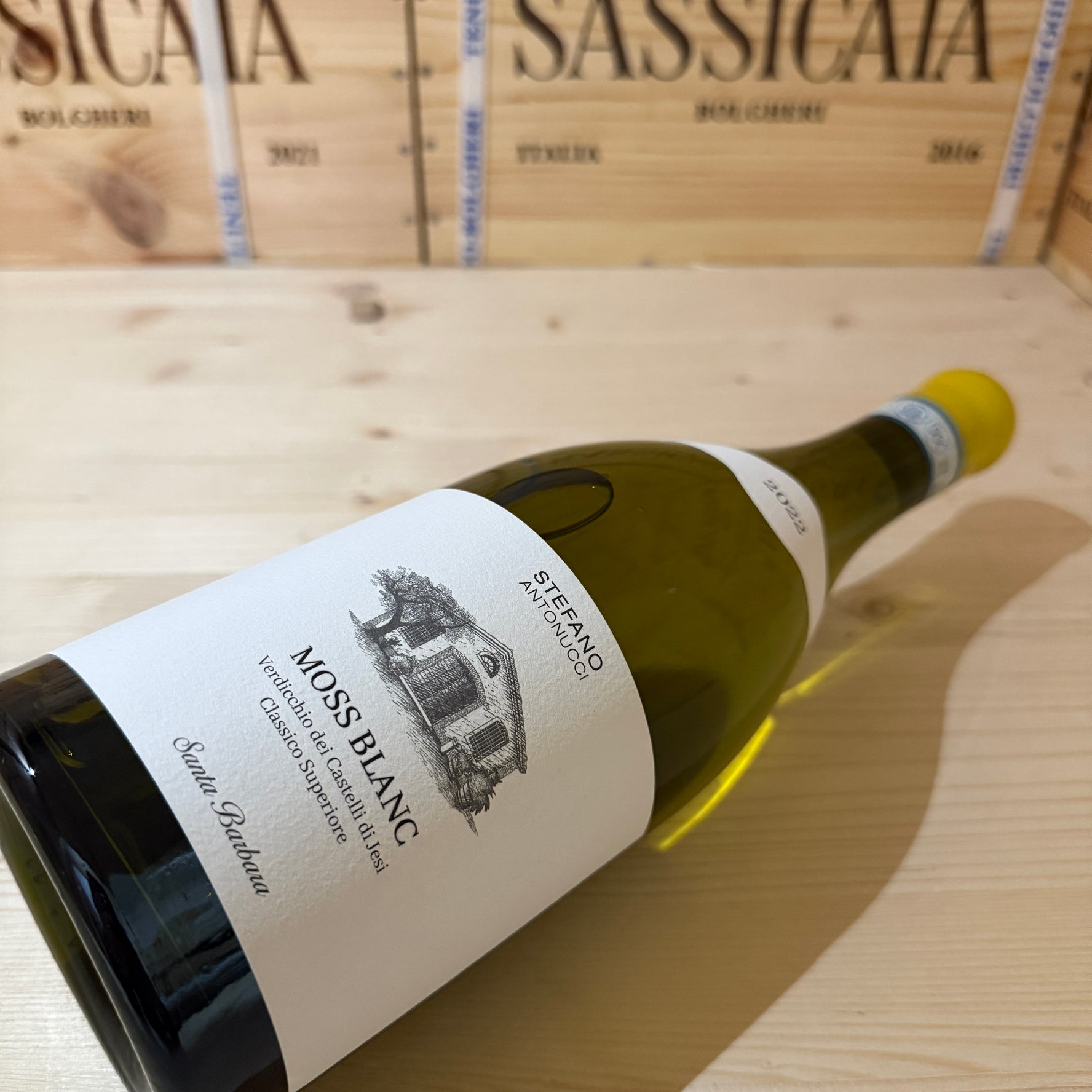 Moss Blanc 2022 Santa Barbara Verdicchio dei Castelli di Jesi DOC Classico Superiore