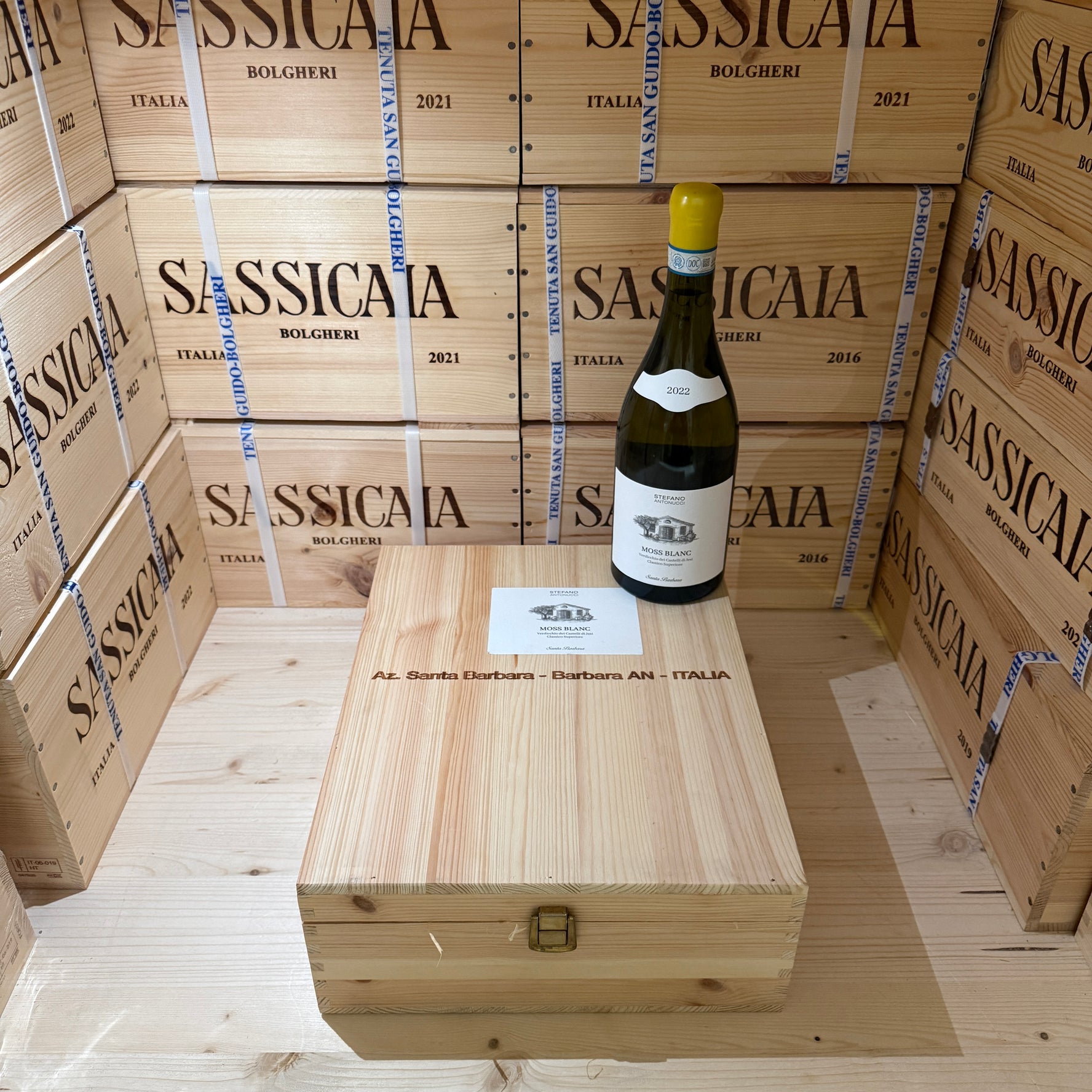 Moss Blanc 2022 Santa Barbara Verdicchio dei Castelli di Jesi DOC Classico Superiore - Cassa Legno 3 Bottiglie