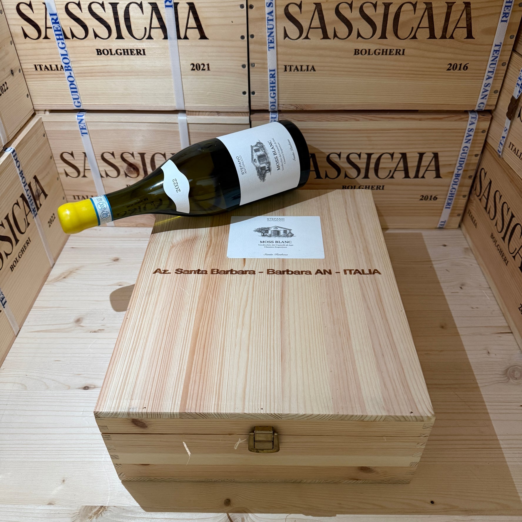 Moss Blanc 2022 Santa Barbara Verdicchio dei Castelli di Jesi DOC Classico Superiore - Cassa Legno 3 Bottiglie