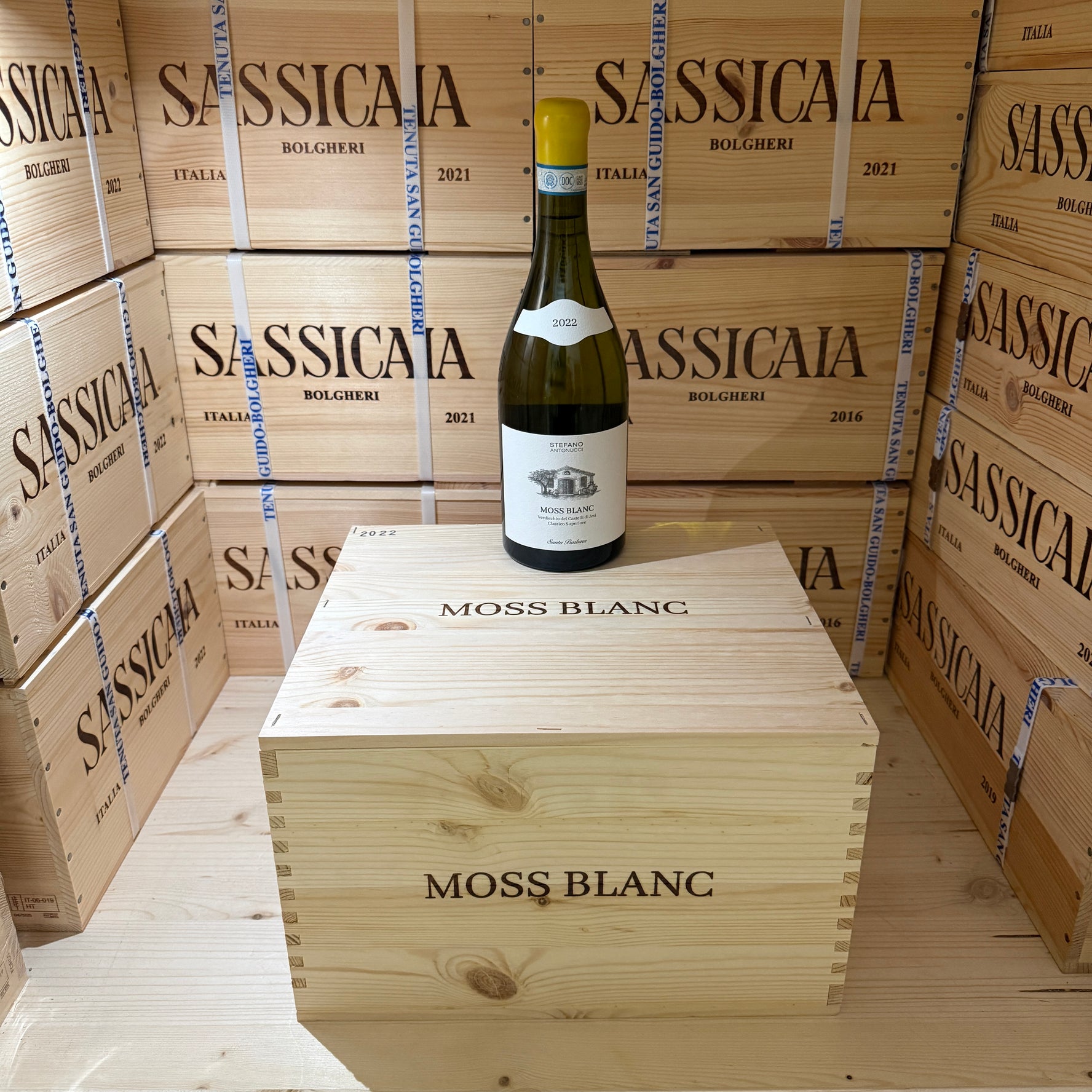 Moss Blanc 2022 Santa Barbara Verdicchio dei Castelli di Jesi DOC Classico Superiore - Cassa Legno 6 Bottiglie