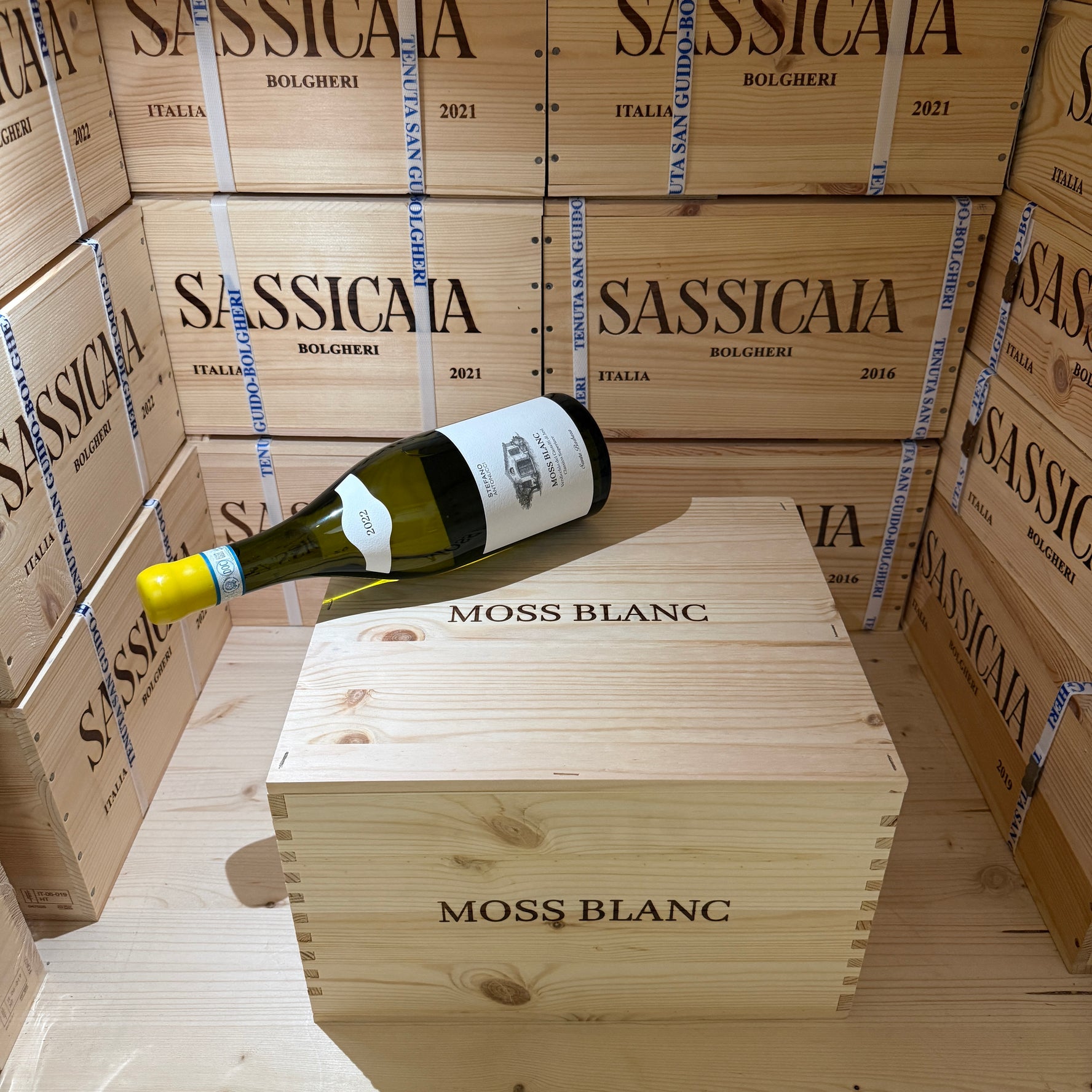 Moss Blanc 2022 Santa Barbara Verdicchio dei Castelli di Jesi DOC Classico Superiore - Cassa Legno 6 Bottiglie