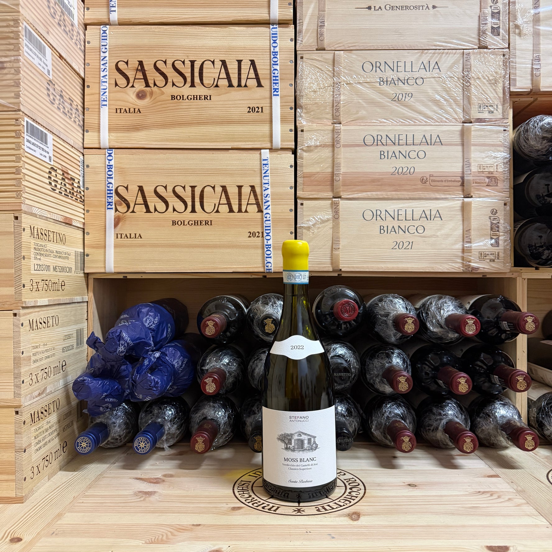 Moss Blanc 2022 Santa Barbara Verdicchio dei Castelli di Jesi DOC Classico Superiore