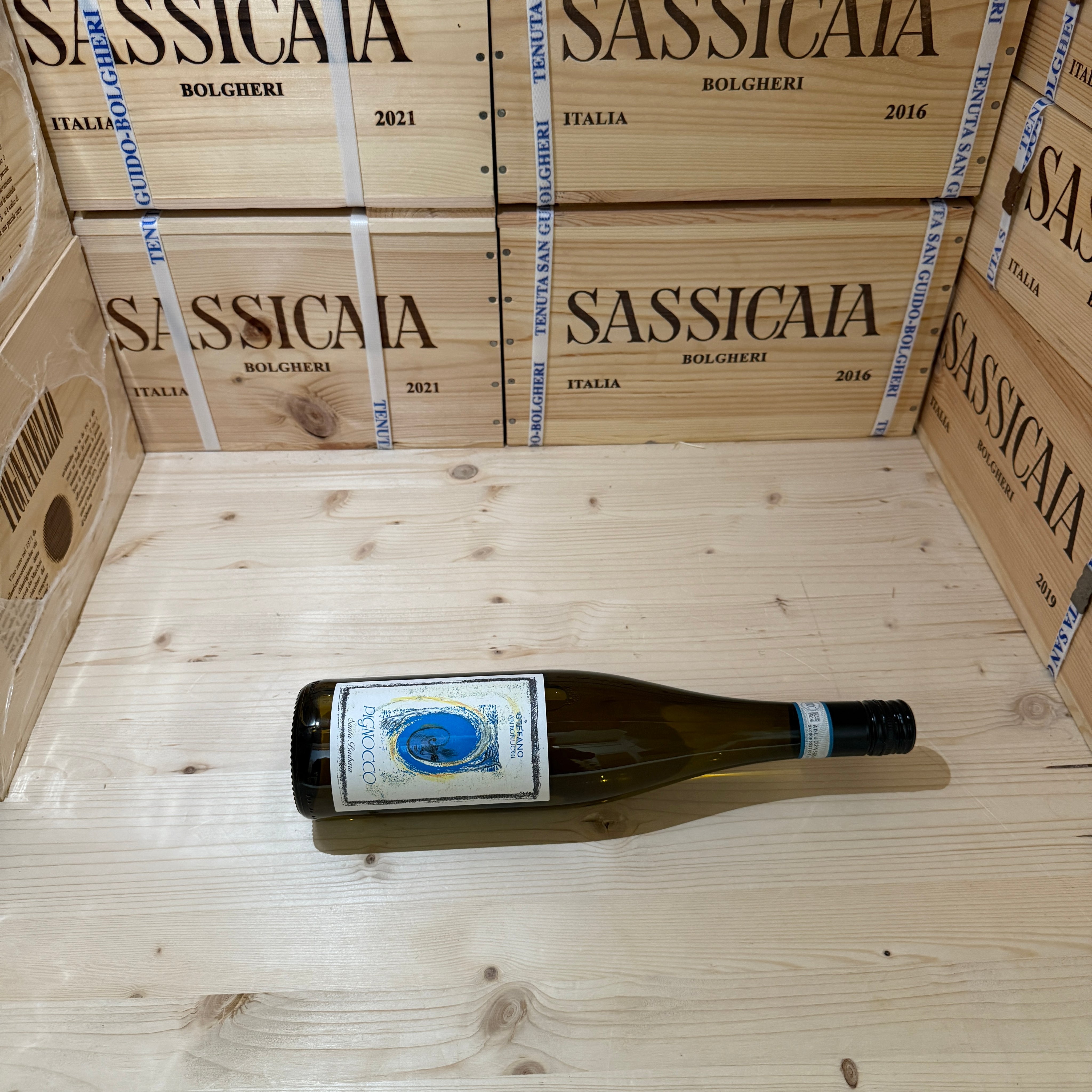 Pignocco 2024 Santa Barbara Verdicchio dei Castelli di Jesi DOC