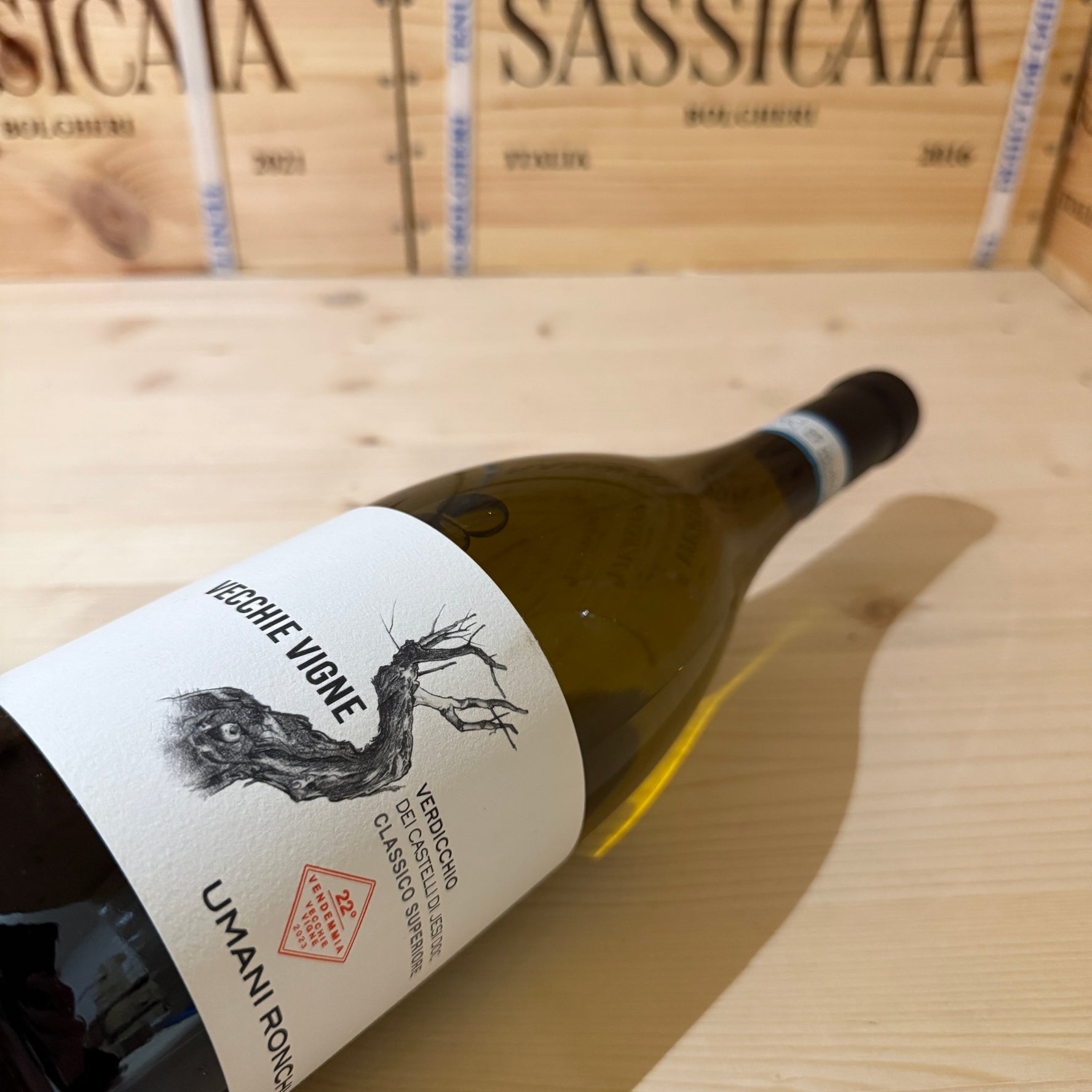 Vecchie Vigne 2023 Umani Ronchi Verdicchio dei Castelli di Jesi DOC Classico Superiore