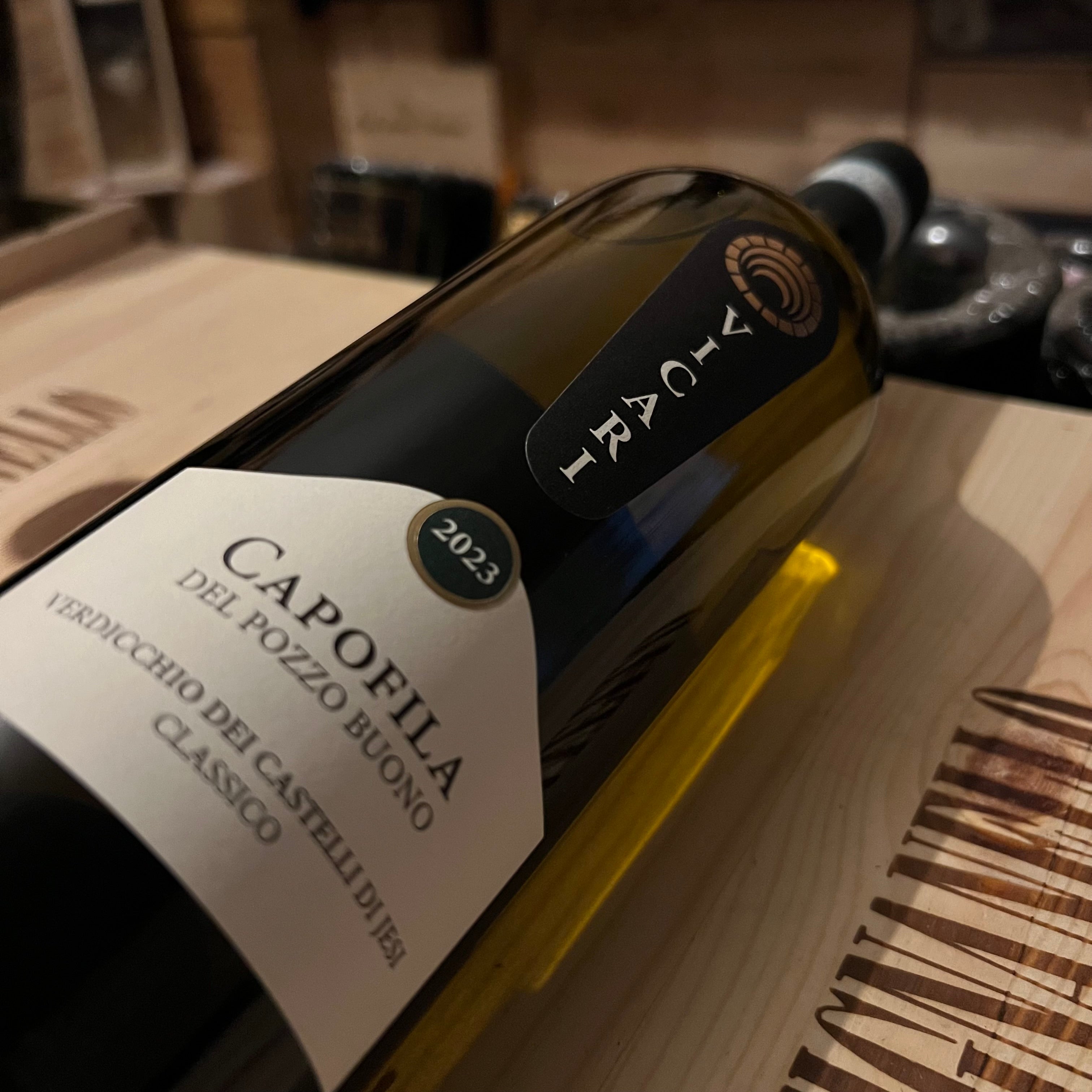 Verdicchio dei Castelli di Jesi DOC Classico Capofila Del Pozzo Buono 2023 Vicari