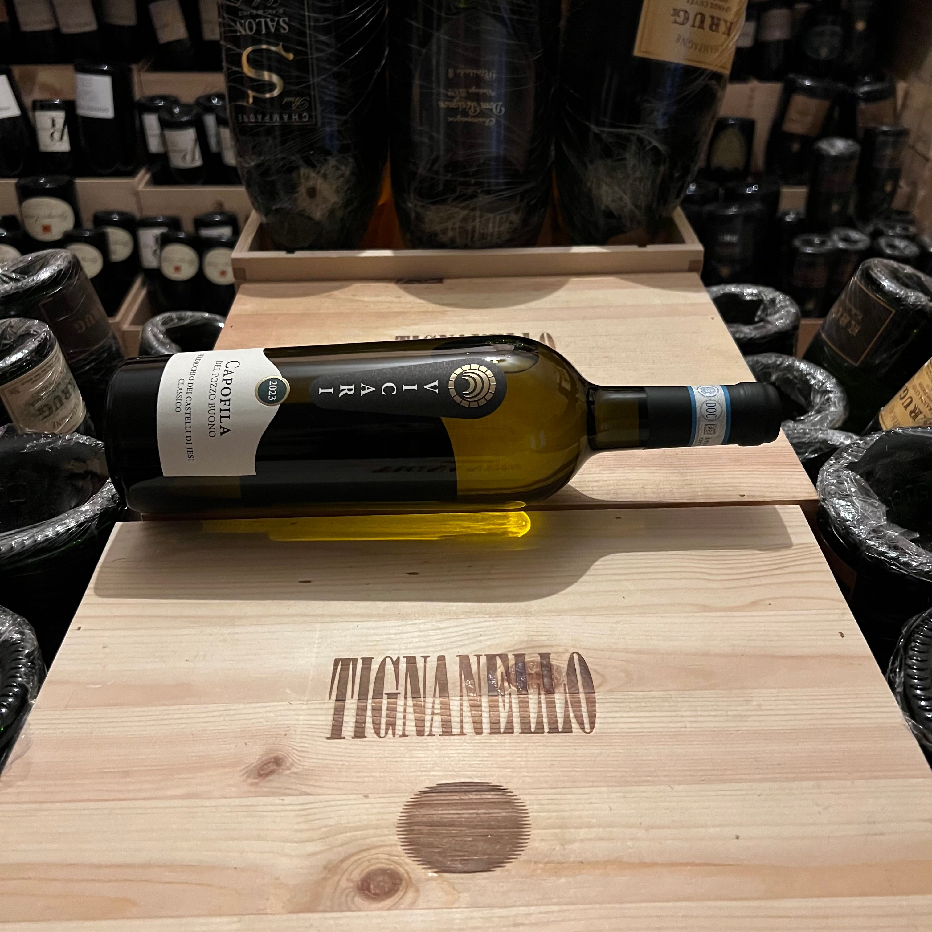 Verdicchio dei Castelli di Jesi DOC Classico Capofila Del Pozzo Buono 2023 Vicari