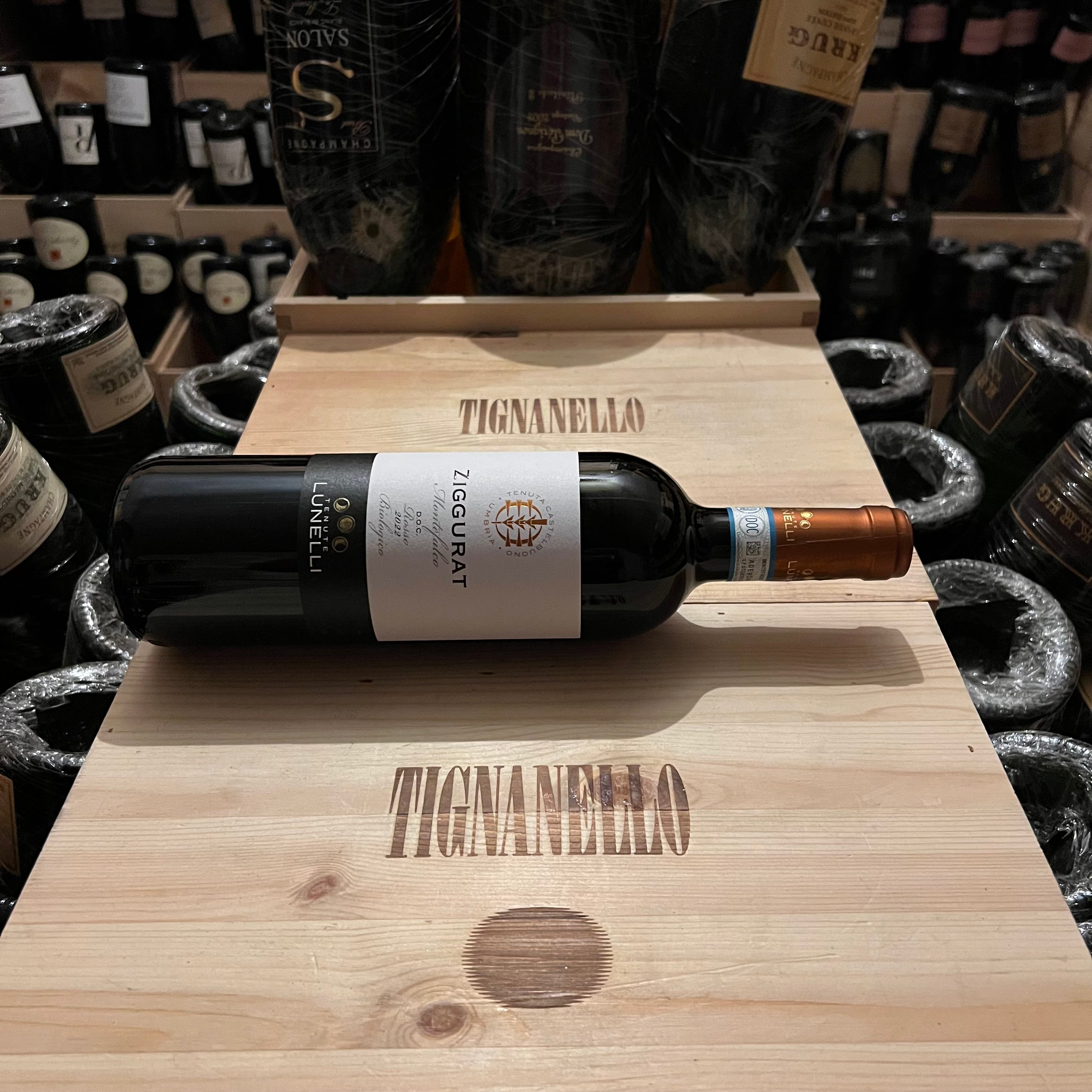 Ziggurat 2022 Montefalco Rosso DOC Tenute Lunelli