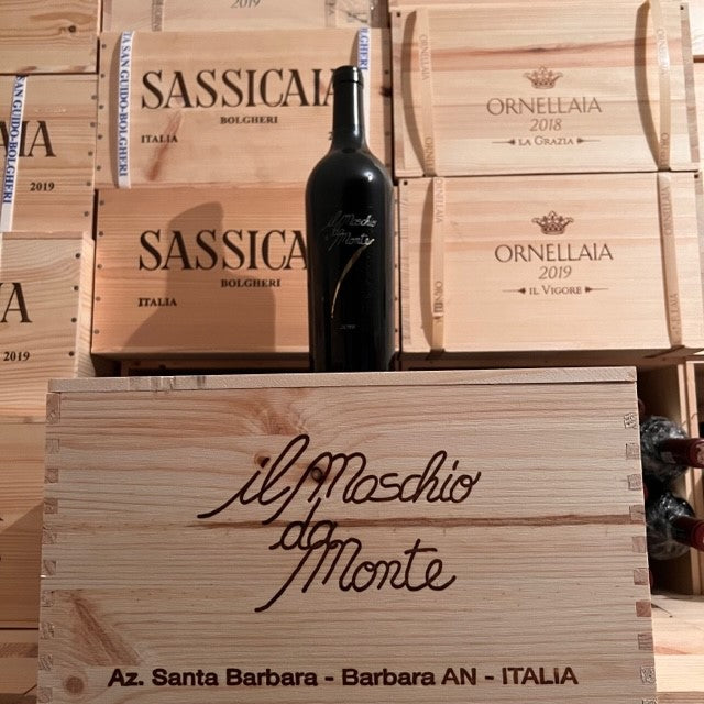 Il Maschio da Monte 2019 Rosso Piceno DOC Santa Barbara