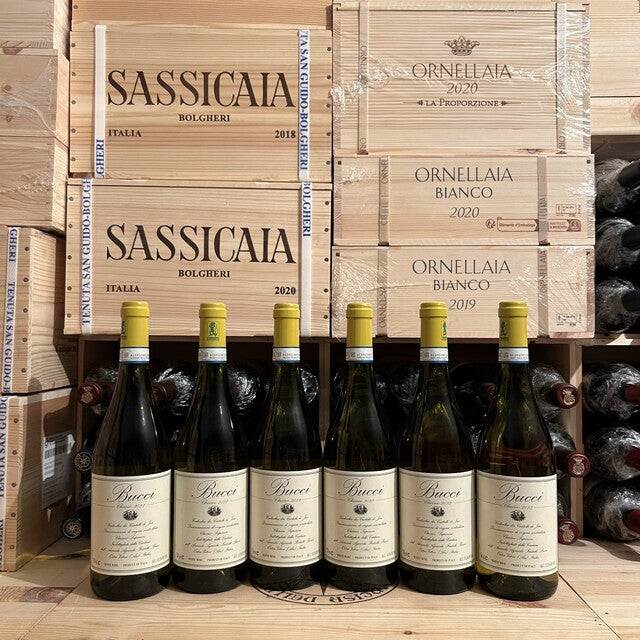 Bucci 2022 Villa Bucci Verdicchio dei Castelli di Jesi DOC Classico Superiore