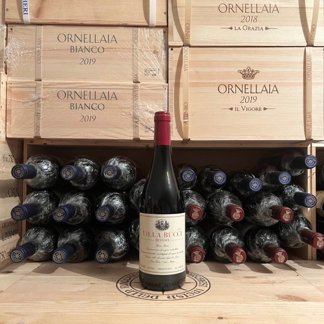 Villa Bucci Rosso 2018 Rosso Piceno DOC