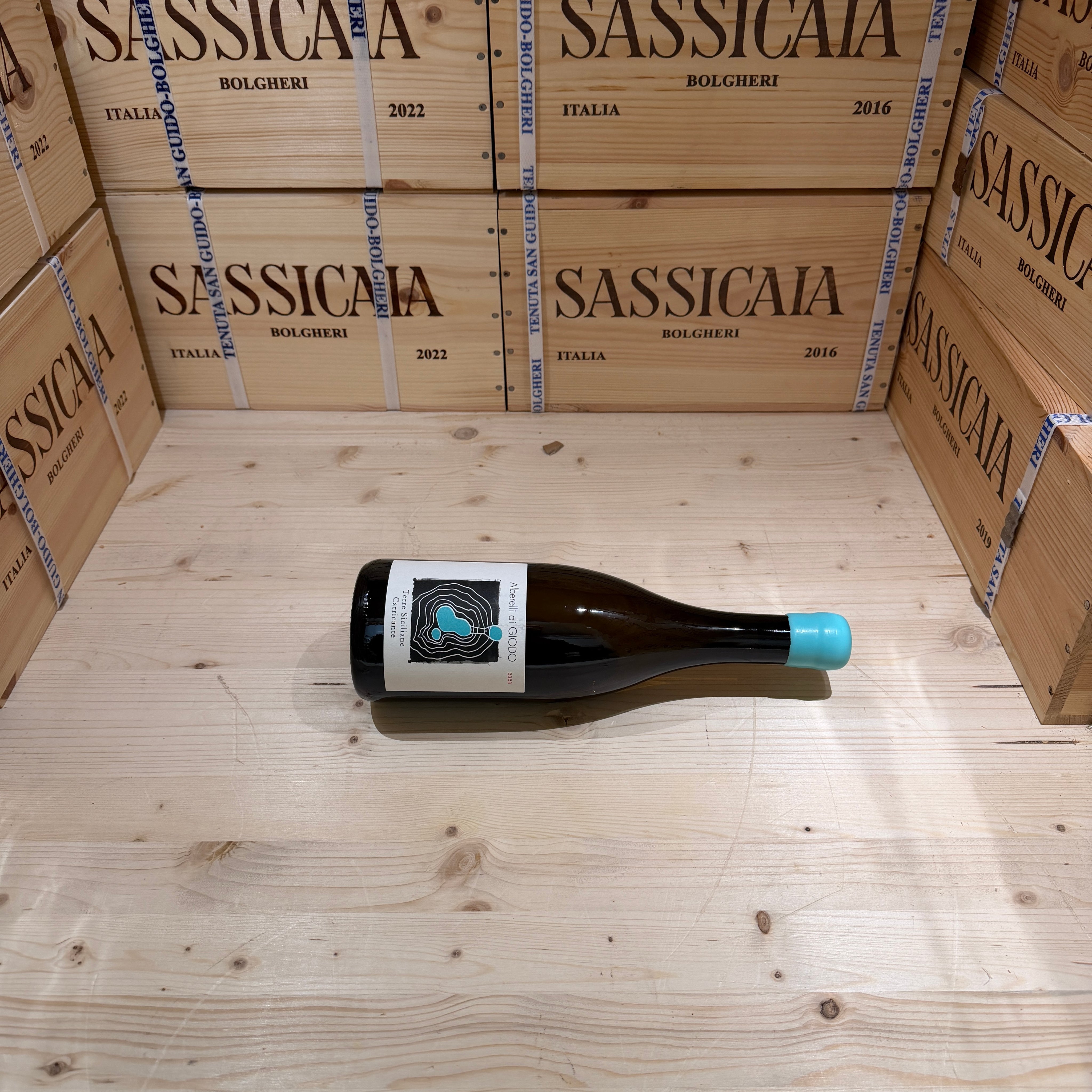 Alberelli di Giodo Carricante 2023