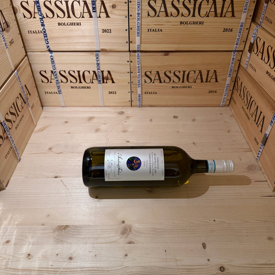 Andrea Felici Verdicchio dei Castelli di Jesi DOC Classico Superiore 2024 Magnum