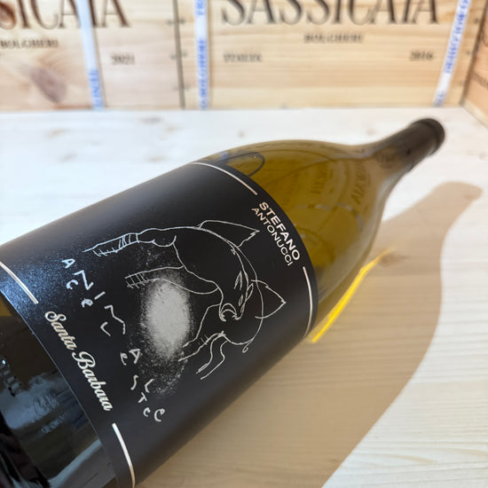 Animale Celeste 2024 Magnum Sauvignon Blanc Santa Barbara
