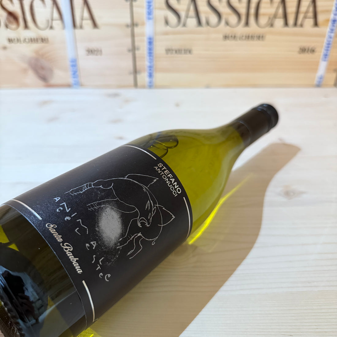 Animale Celeste 2024 Sauvignon Blanc Santa Barbara