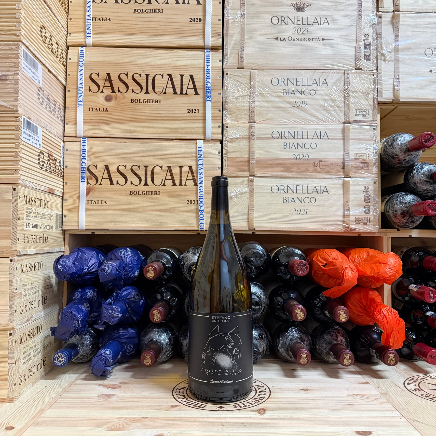 Animale Celeste 2025 Magnum Sauvignon Blanc Santa Barbara