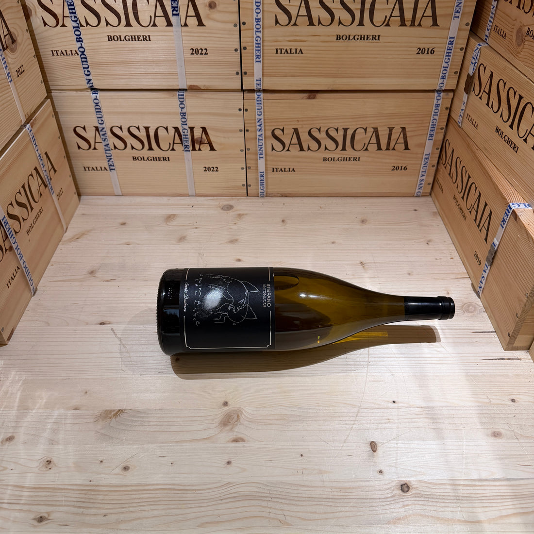 Animale Celeste 2025 Magnum Sauvignon Blanc Santa Barbara