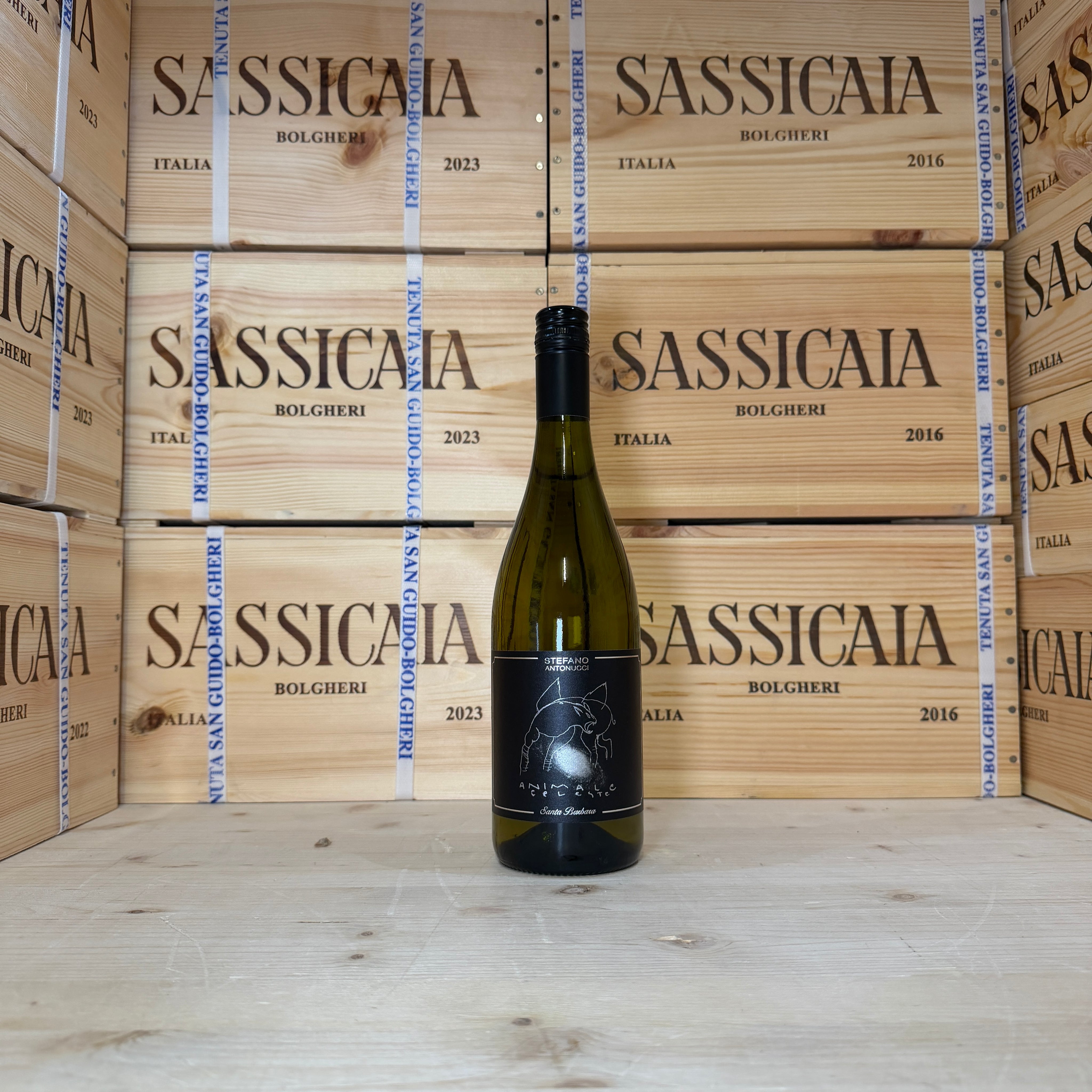 Animale Celeste 2025 Sauvignon Blanc Santa Barbara