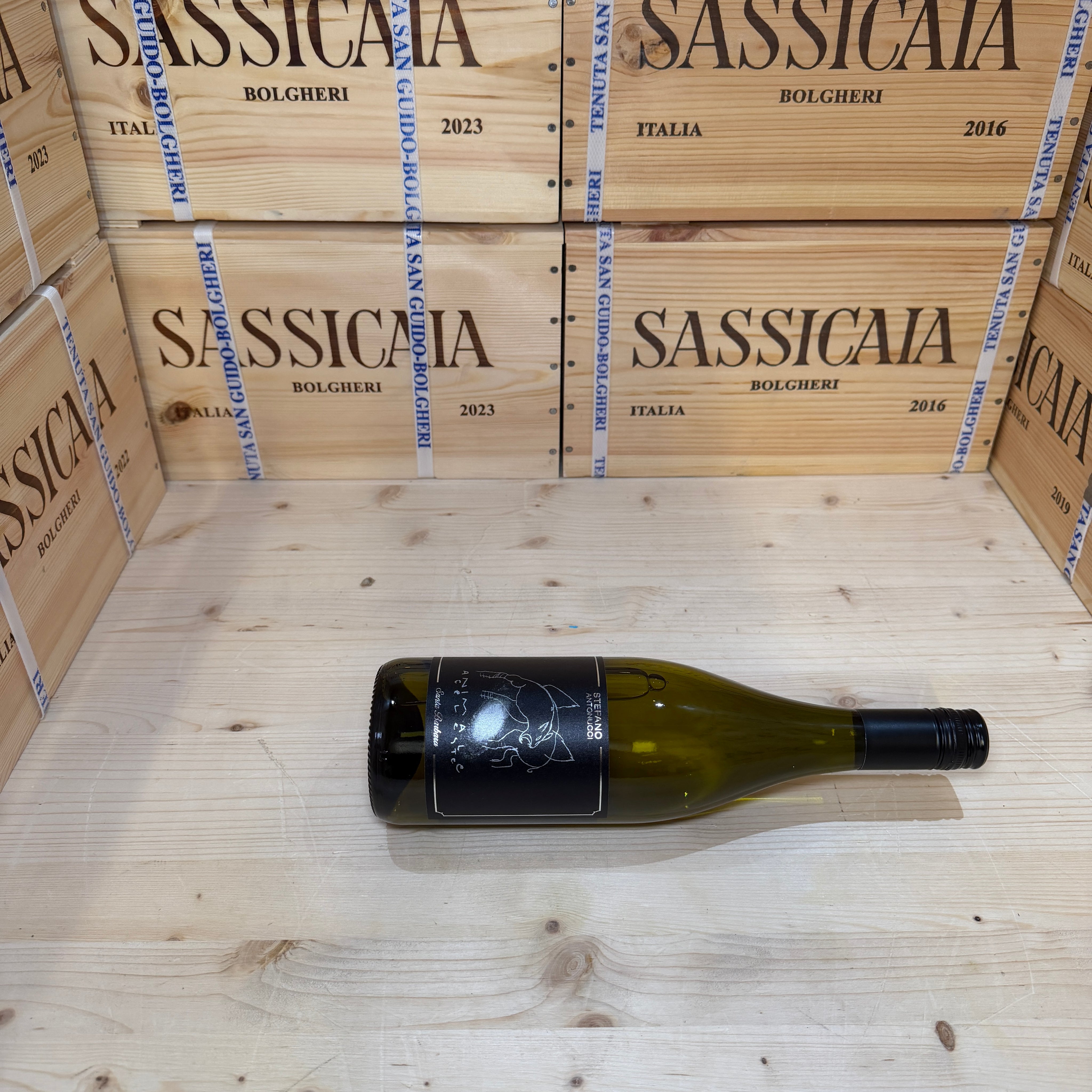 Animale Celeste 2025 Sauvignon Blanc Santa Barbara