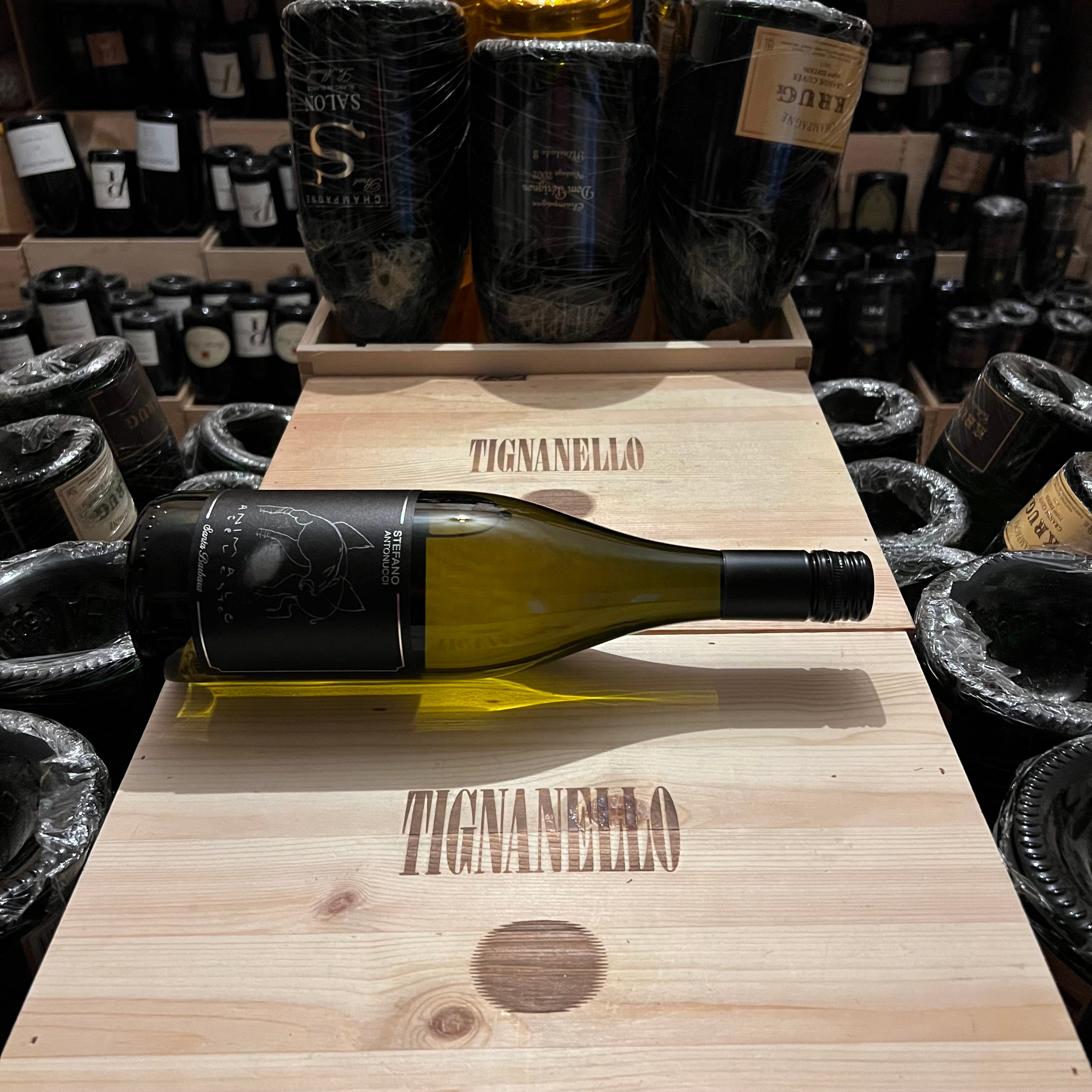 Animale Celeste Sauvignon Blanc Santa Barbara