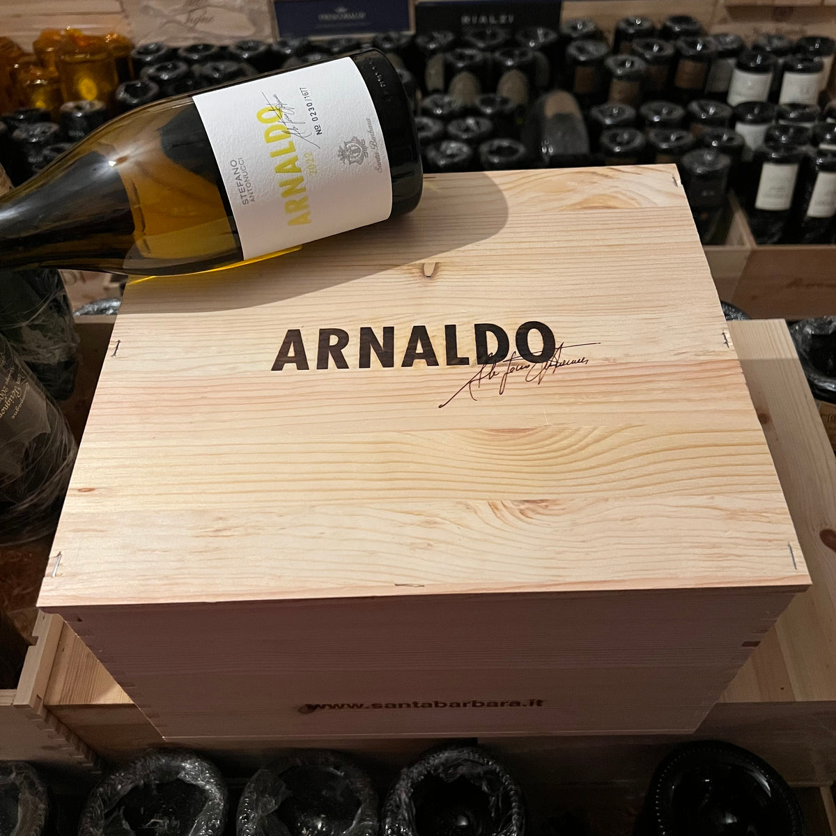 Arnaldo 2022 Santa Barbara Verdicchio dei Castelli di Jesi DOC - Cassa Legno 6 Bottiglie