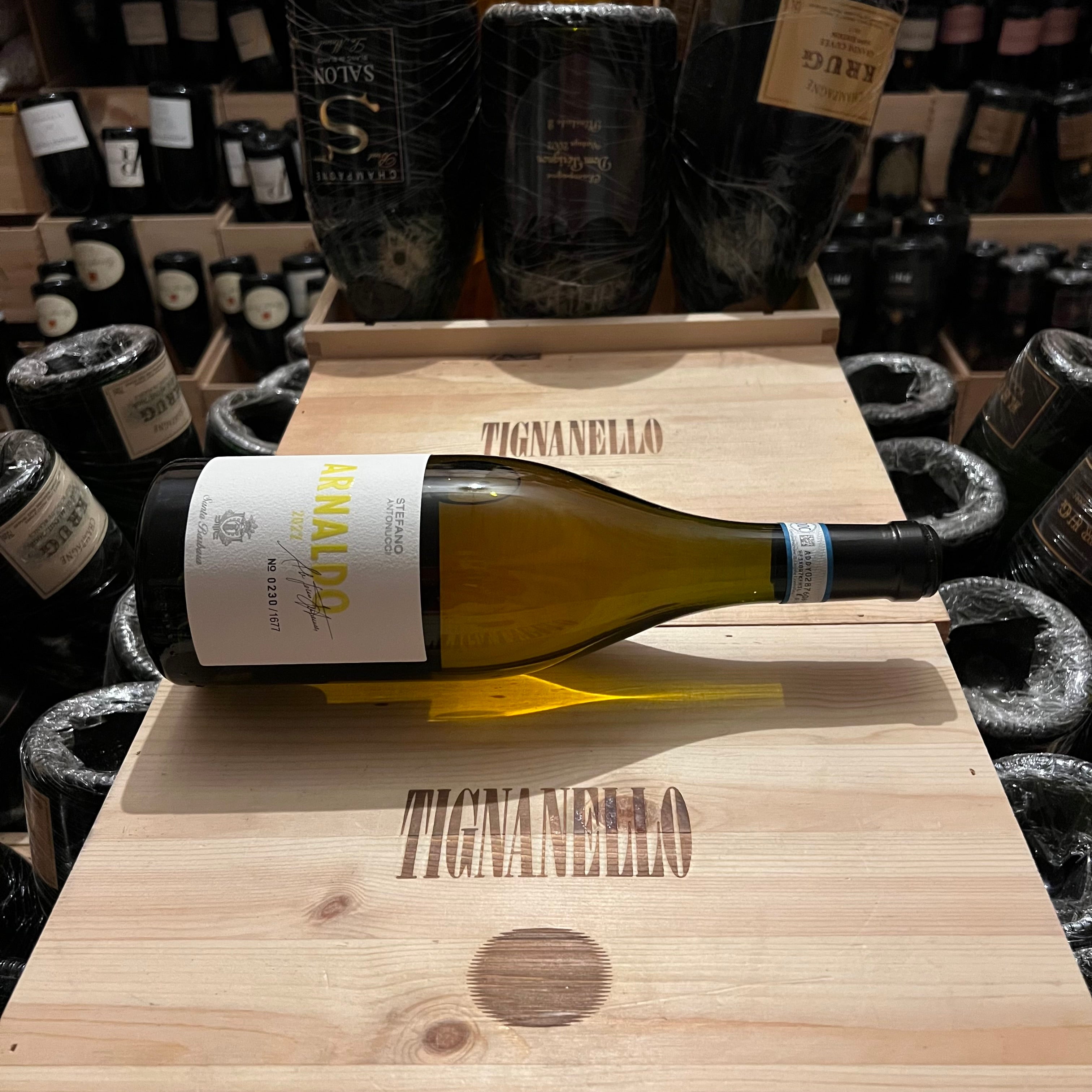 Arnaldo 2022 Santa Barbara Verdicchio dei Castelli di Jesi DOC