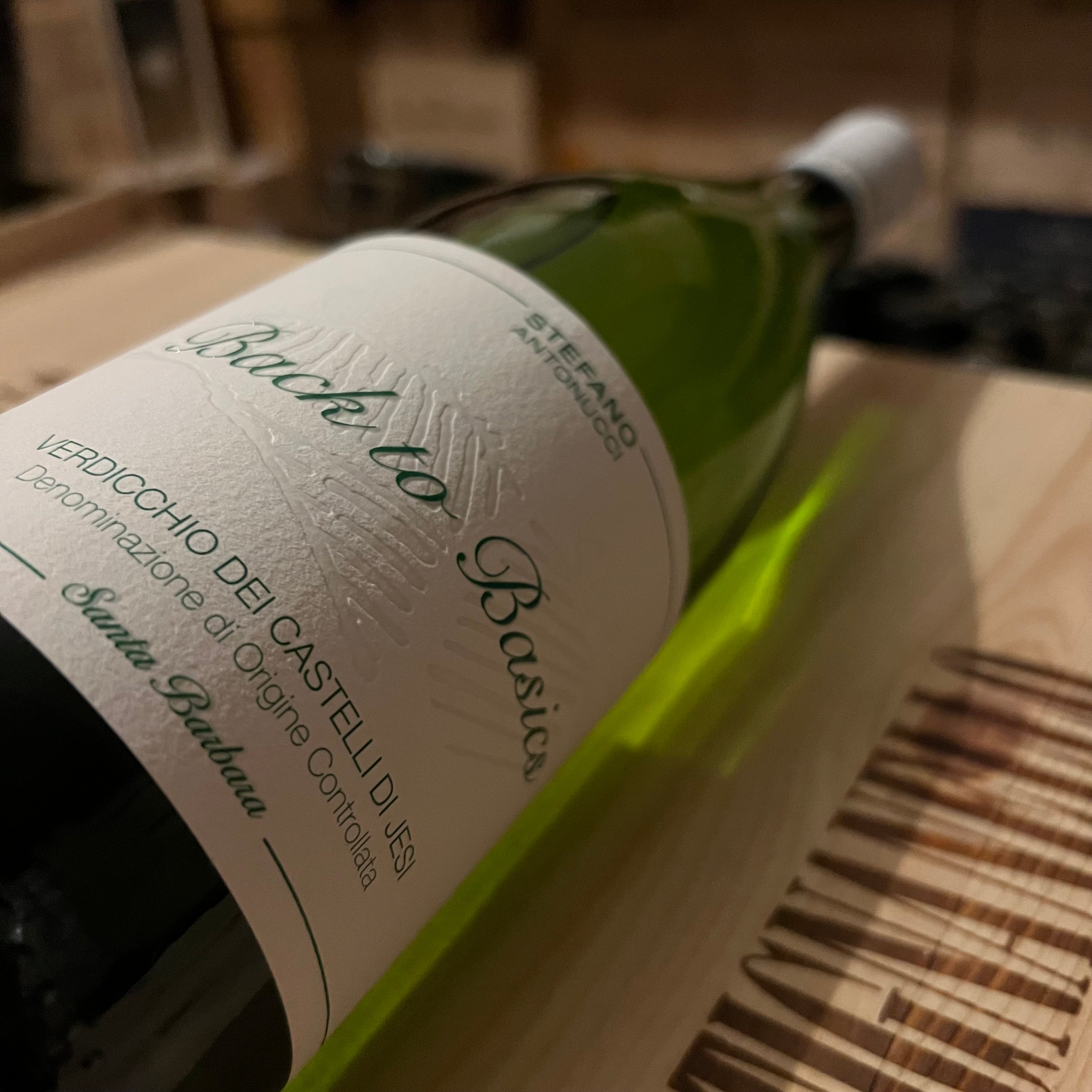 Back to Basics 2023 Verdicchio dei Castelli di Jesi DOC Santa Barbara