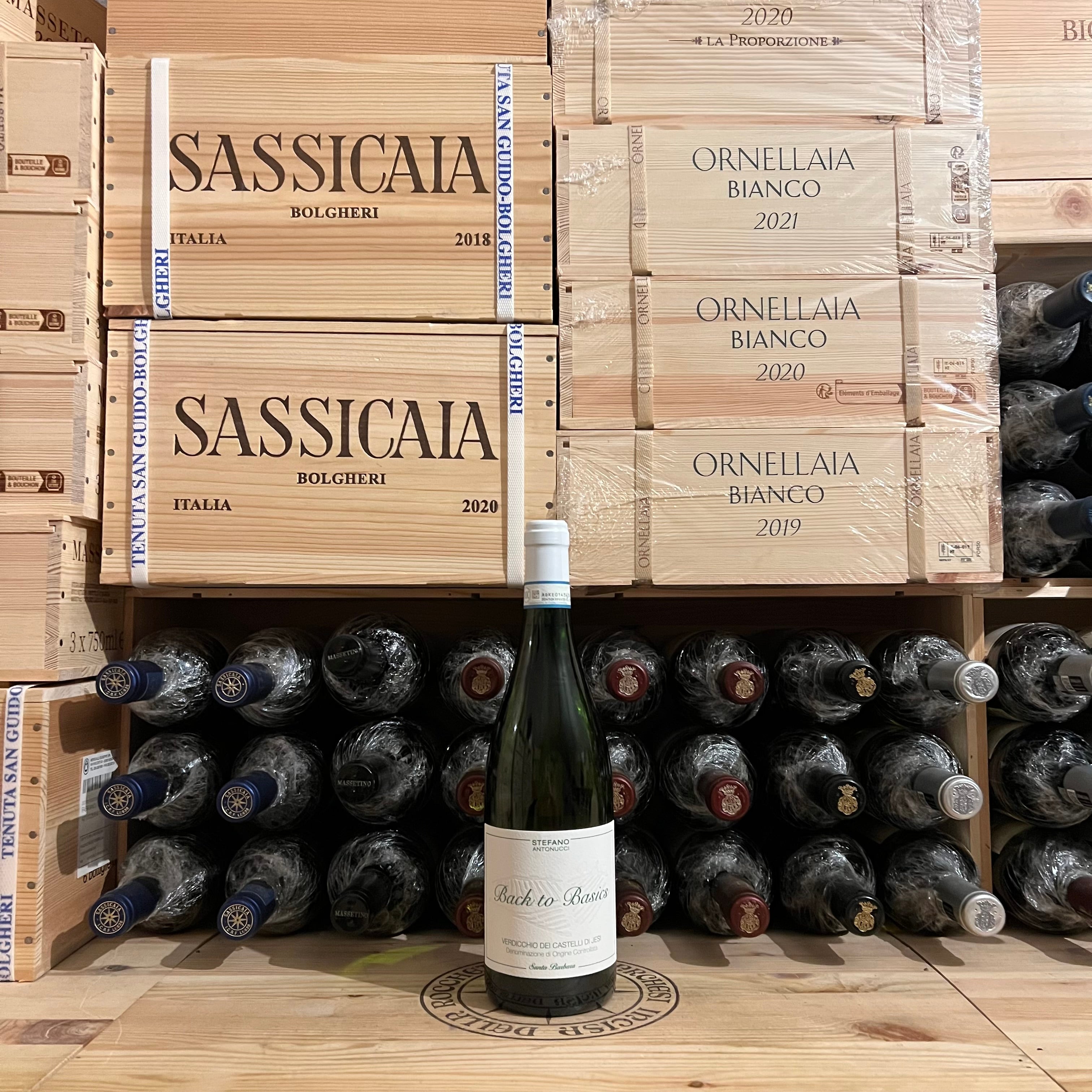 Back to Basics 2023 Verdicchio dei Castelli di Jesi DOC Santa Barbara