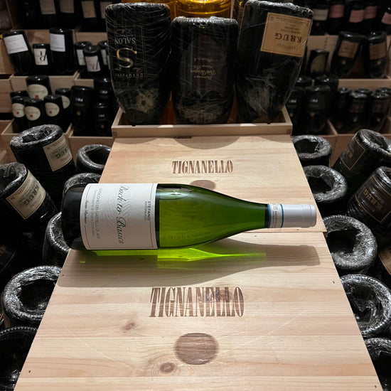 Back to Basics 2023 Verdicchio dei Castelli di Jesi DOC Santa Barbara