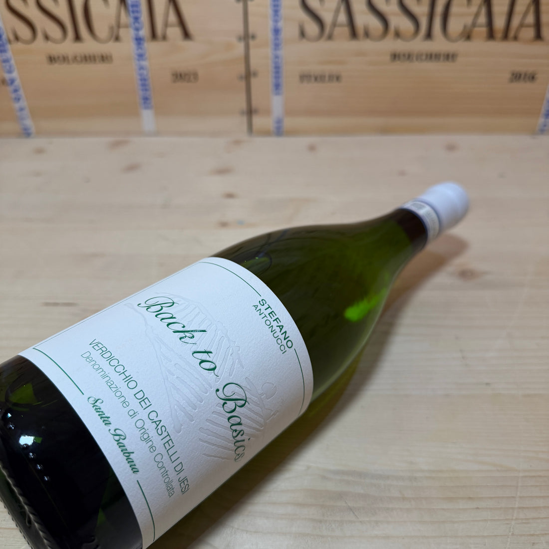 Back to Basics 2024 Verdicchio