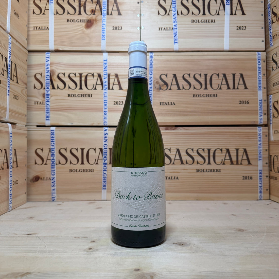 Back to Basics 2024 Verdicchio