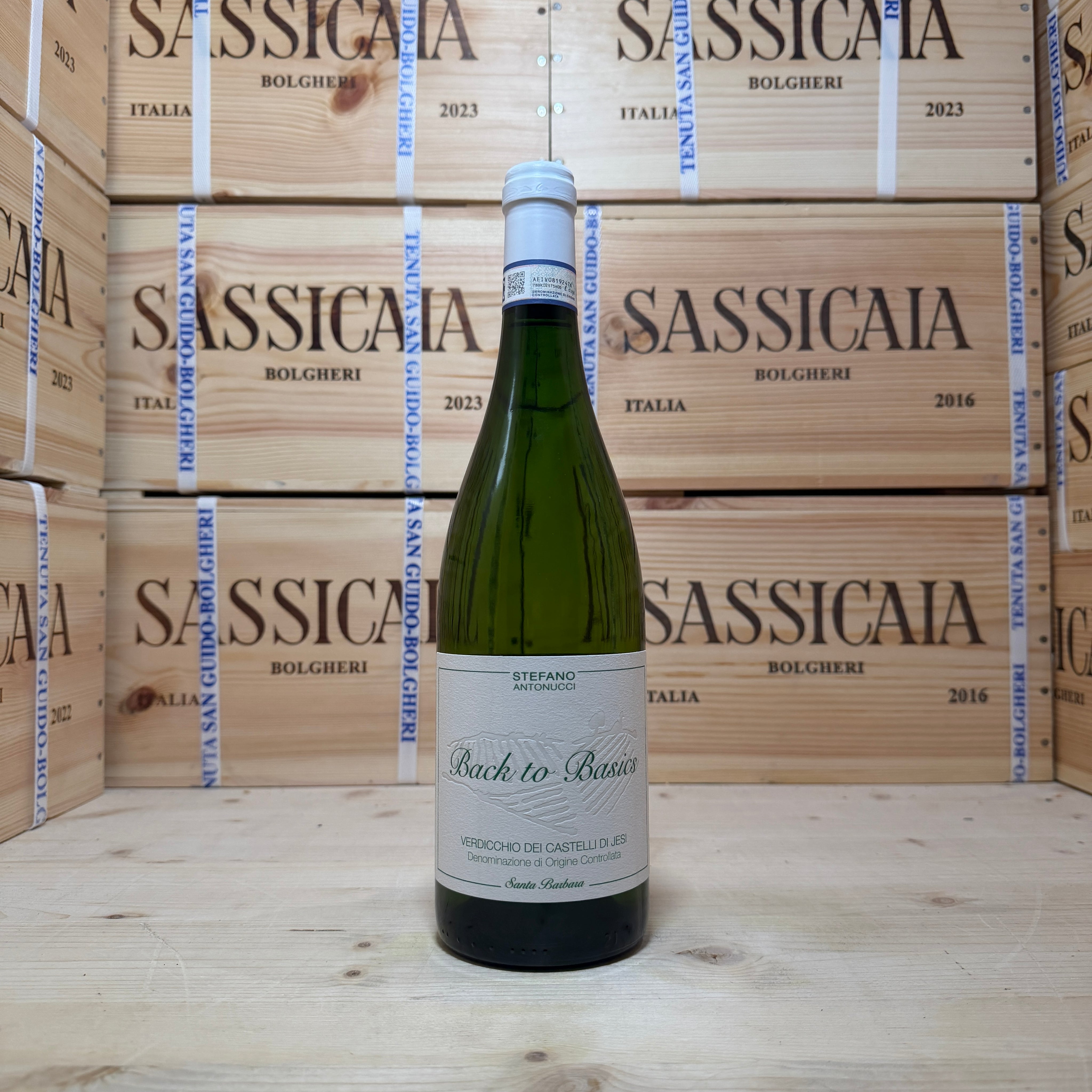 Back to Basics 2024 Verdicchio
