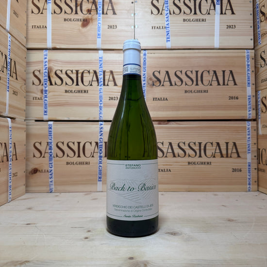 Back to Basics 2024 Verdicchio