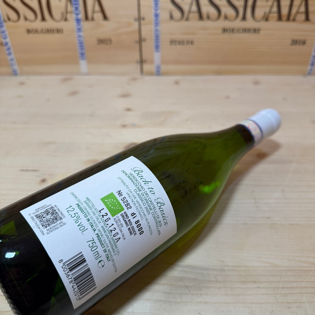 Back to Basics 2024 Verdicchio