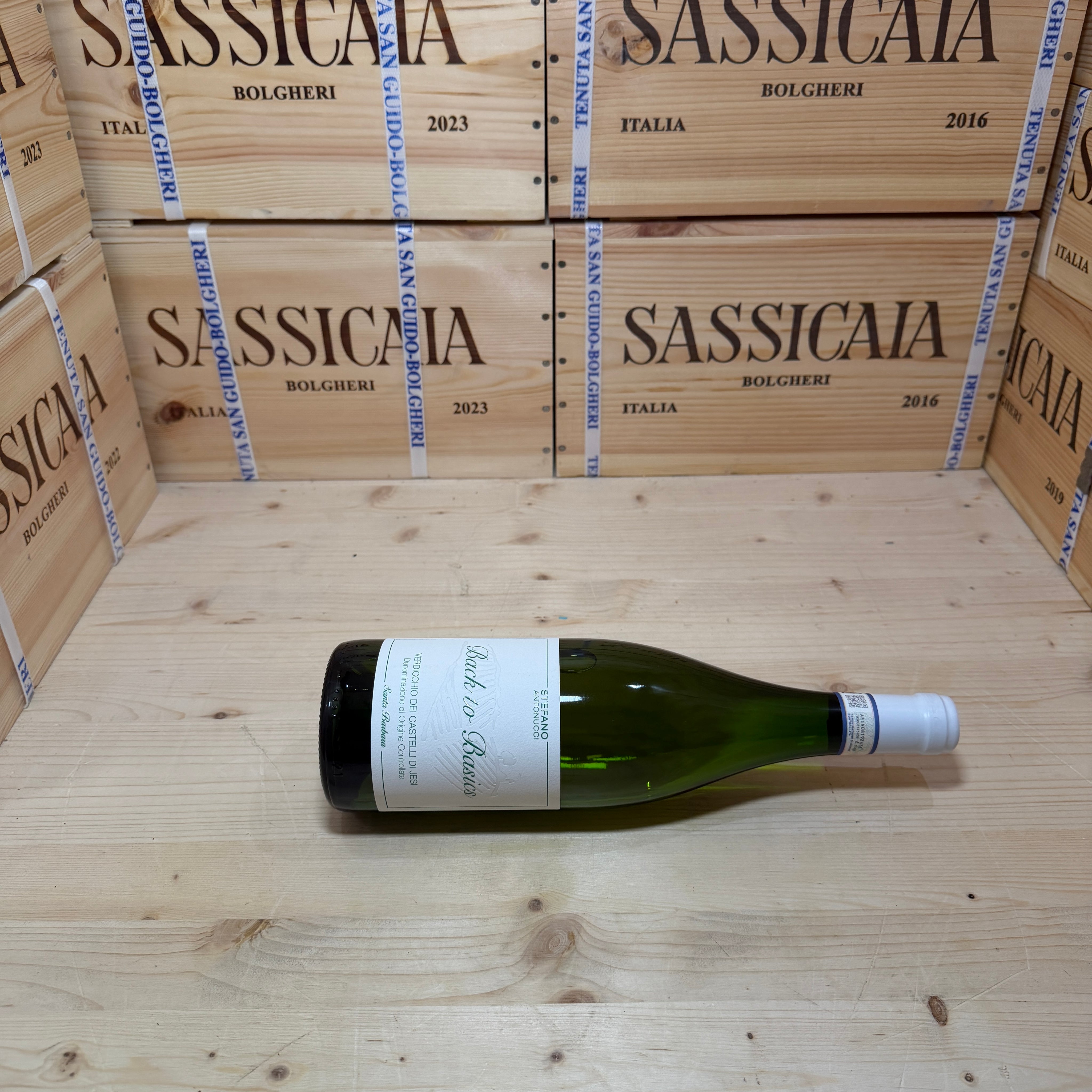 Back to Basics 2024 Verdicchio