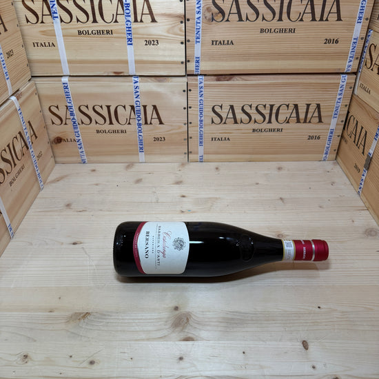 Barbera D'Asti Costalunga 2023 Bersano