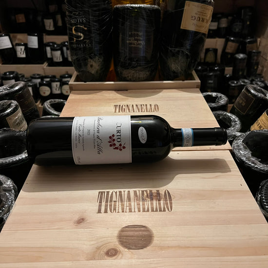 Barbera d'Alba 2021 Nadia Curto