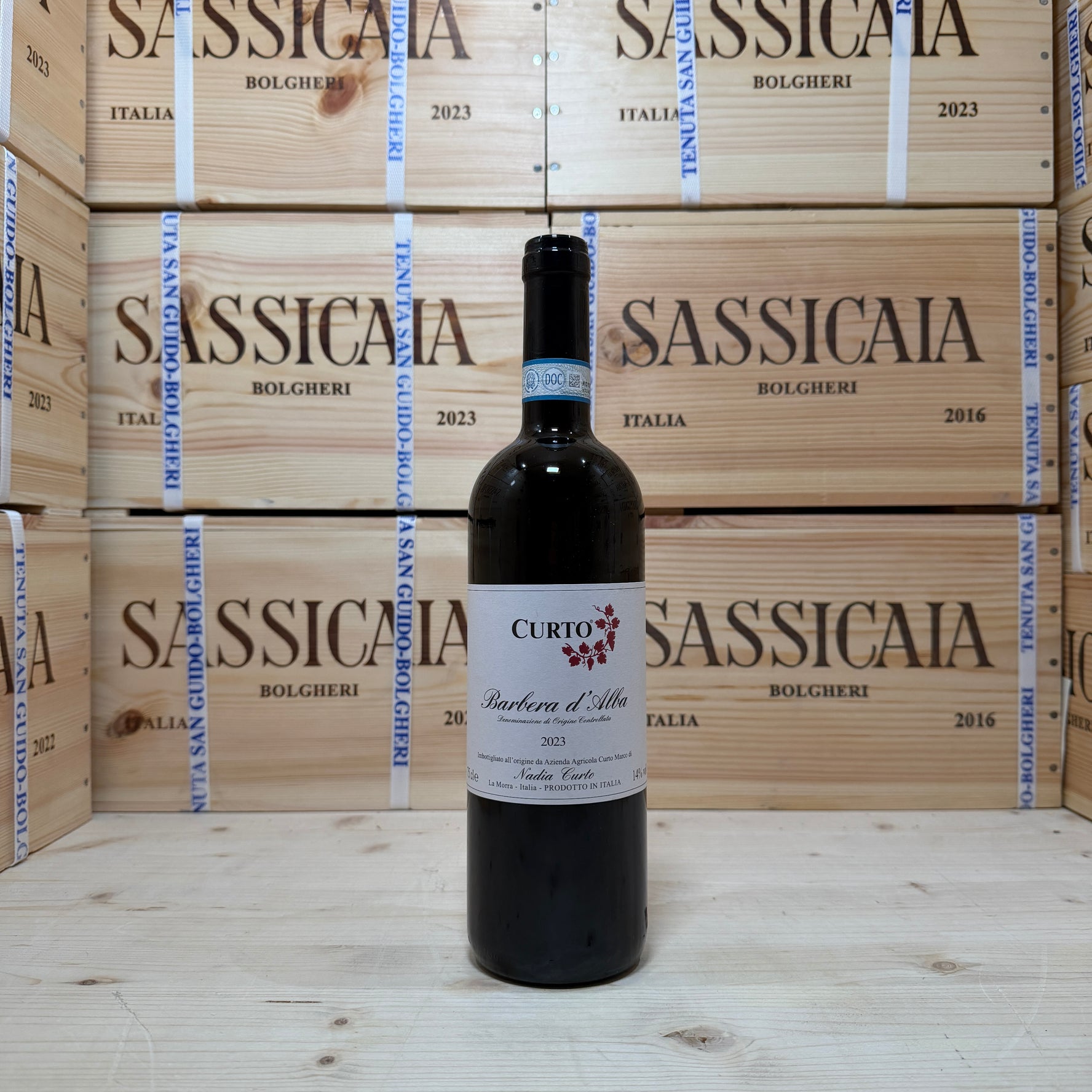 Barbera d'Alba 2023 Nadia Curto