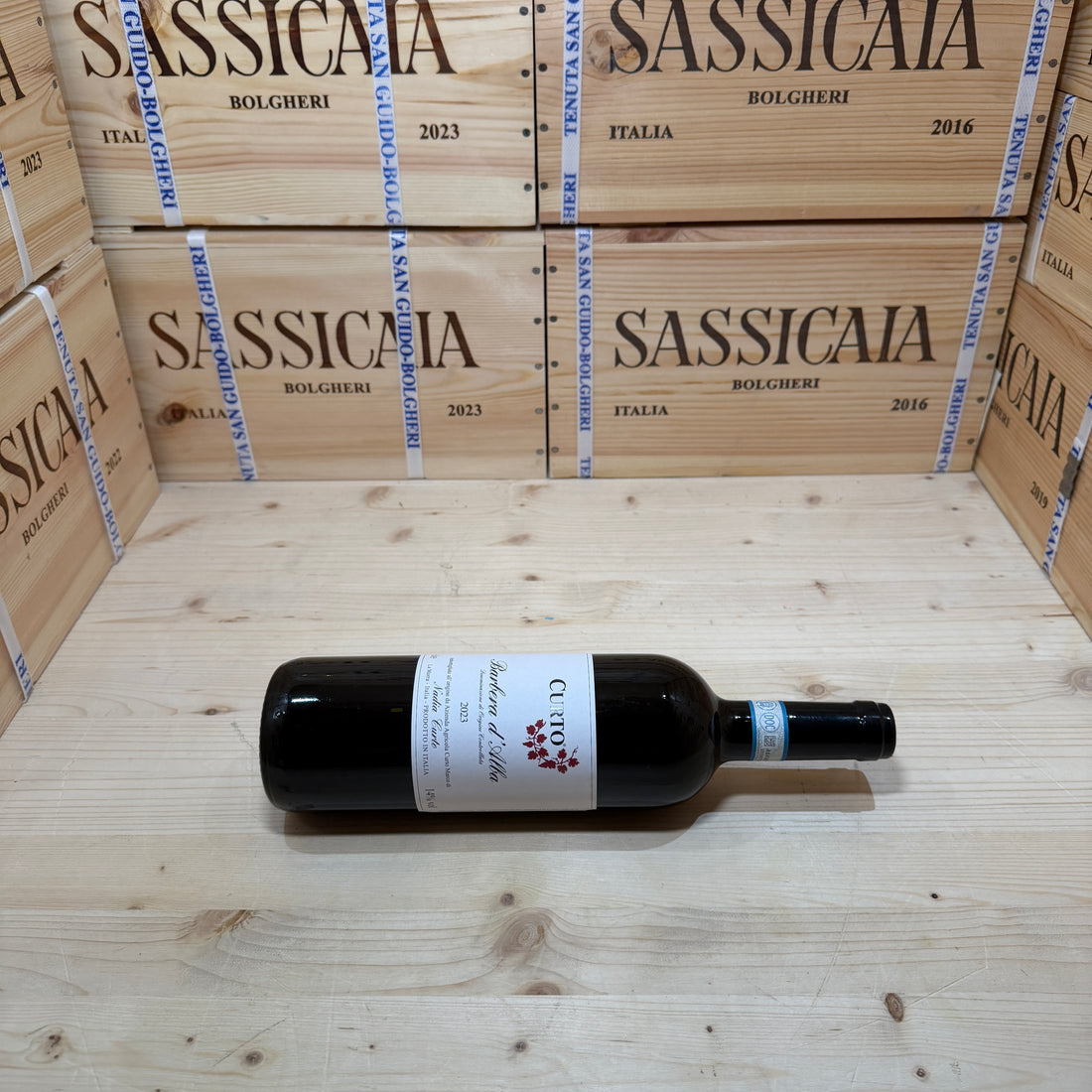 Barbera d'Alba 2023 Nadia Curto