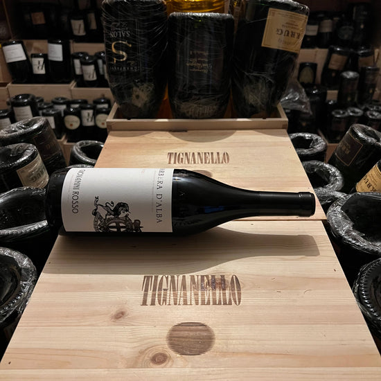Barbera d'Alba DOC 2022 Giovanni Rosso