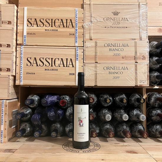 Barbera d'Alba DOC Superiore 2021 Josetta Saffirio