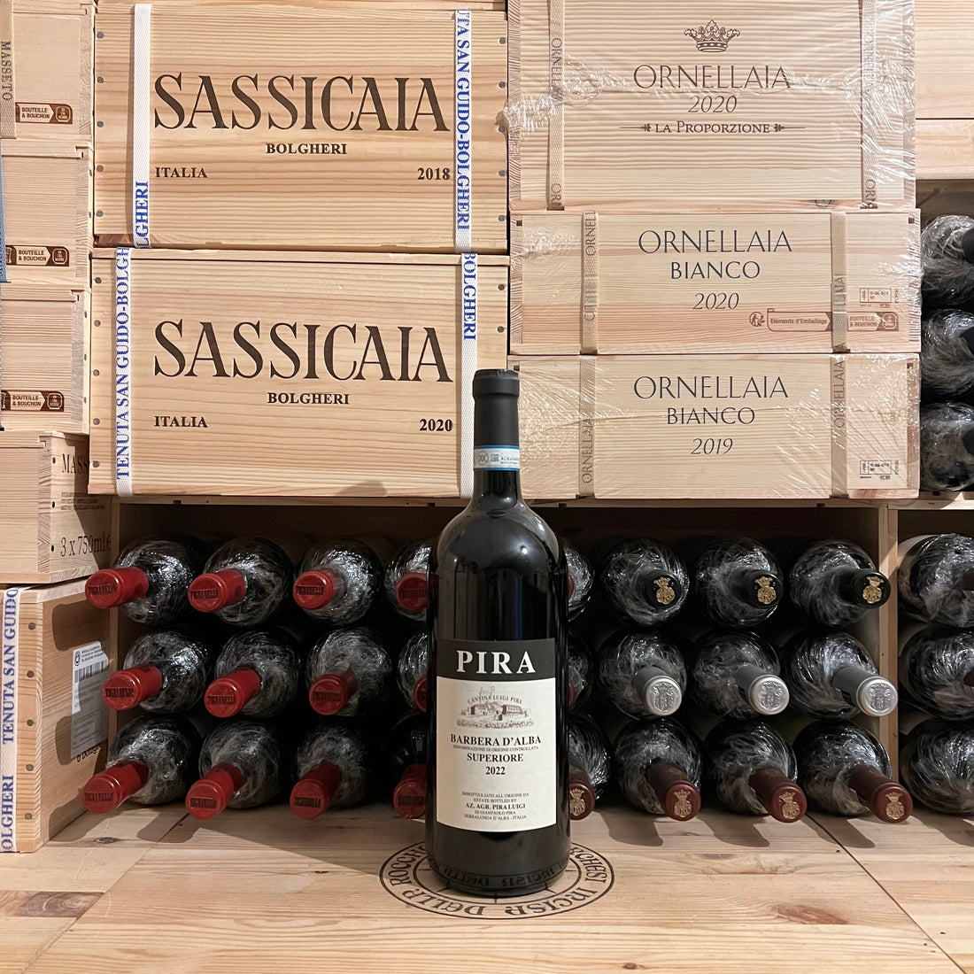 Barbera d'Alba Superiore DOC 2022 Magnum Pira Luigi