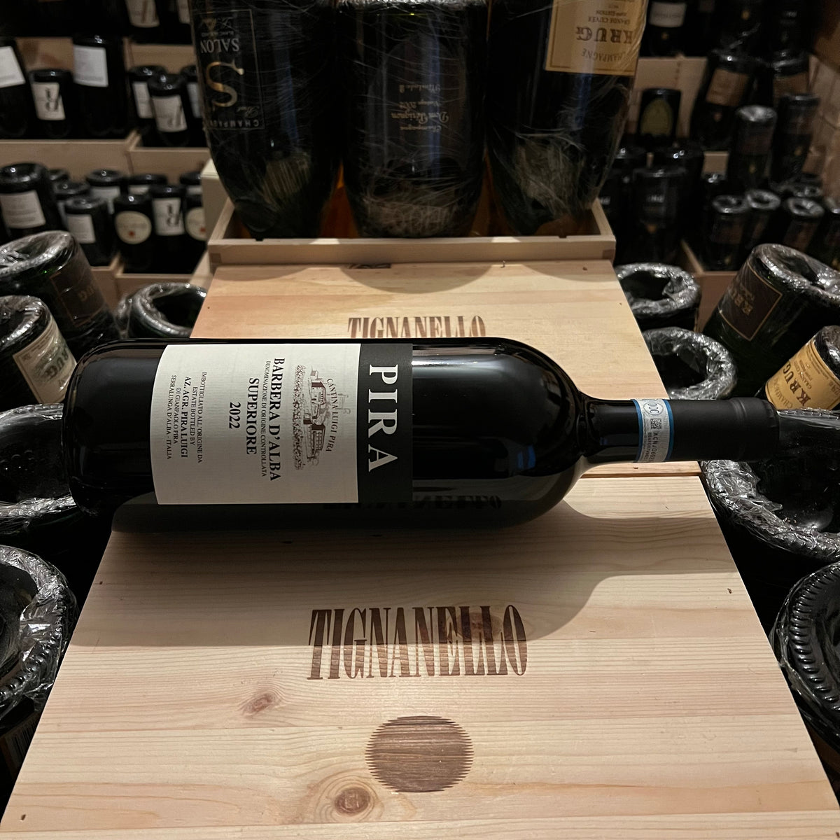Barbera d'Alba Superiore DOC 2022 Magnum Pira Luigi