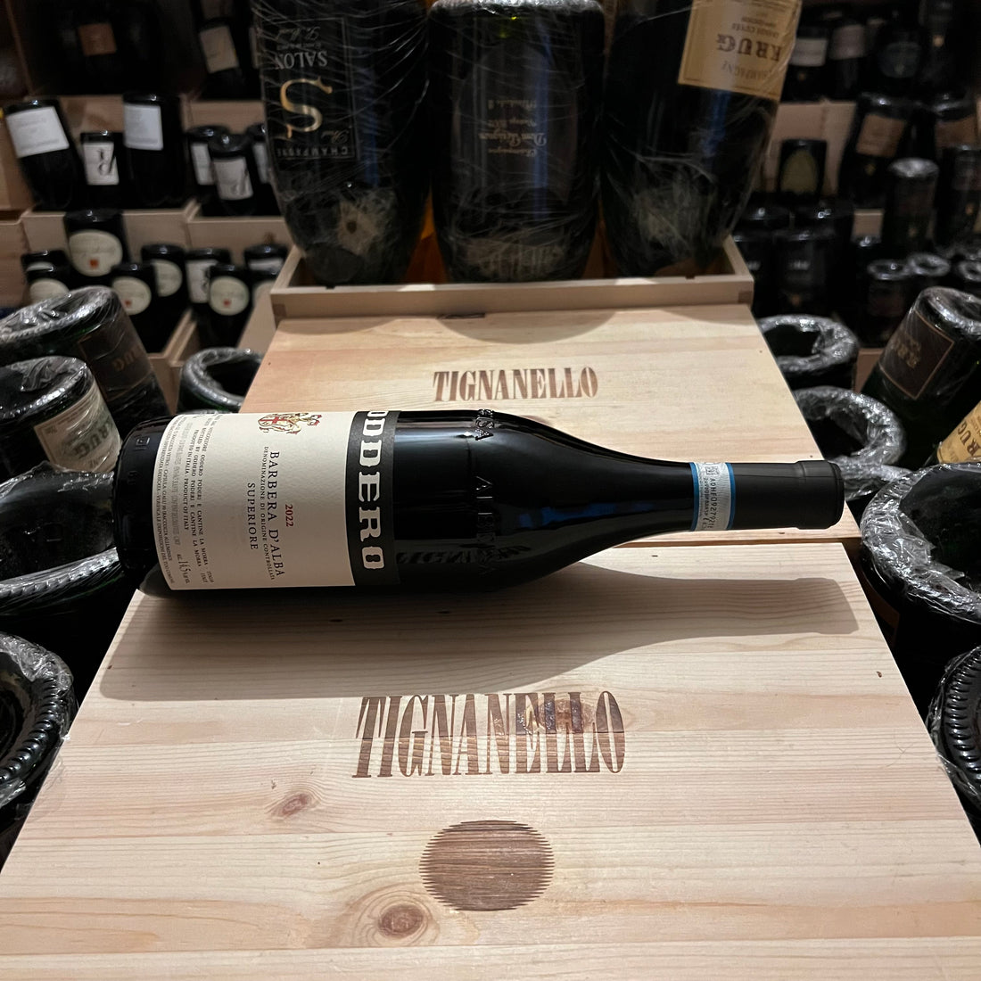 Barbera d'Alba Superiore DOC 2022 Oddero