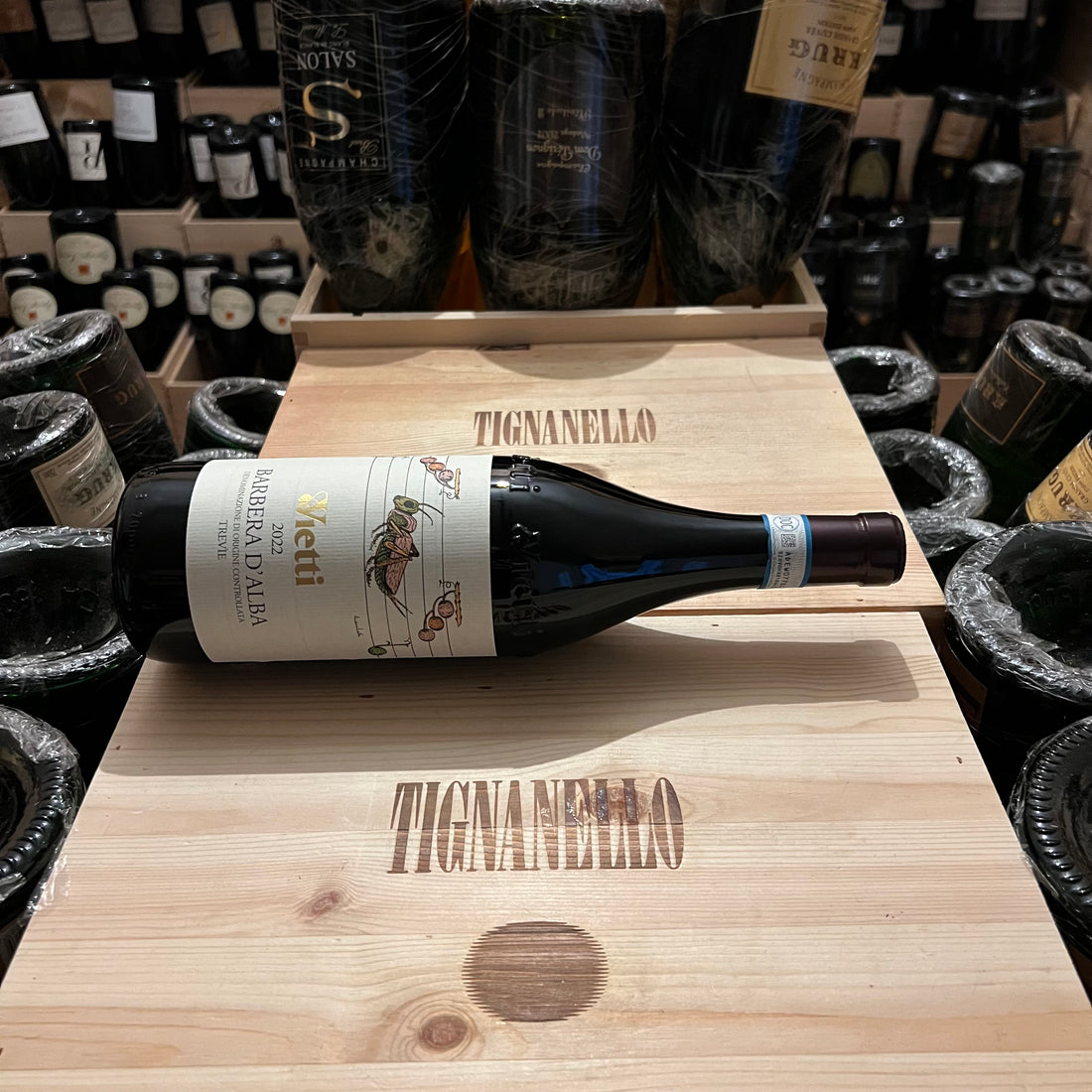 Barbera d'Alba Trevie 2022 Vietti