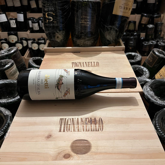 Barbera d'Alba Trevie 2022 Vietti