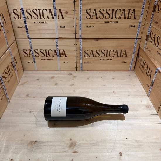 Bellavista Blanc de Noirs 2024 Studio Pinot Nero IGT del Sebino