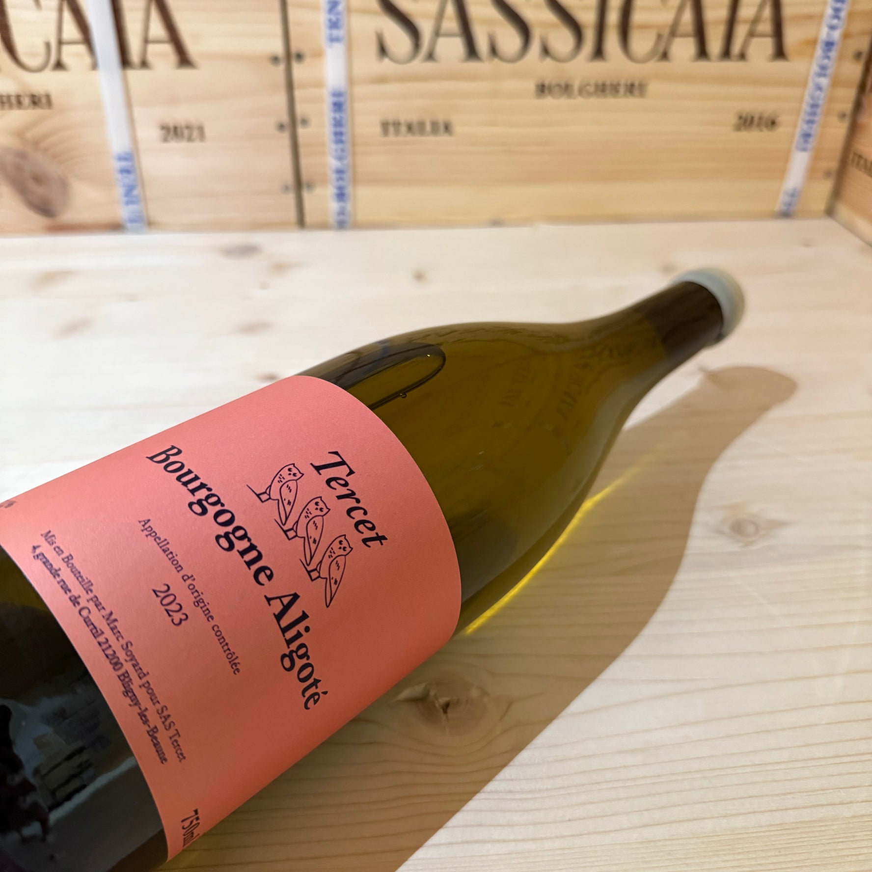 Bourgogne Aligote Tercet 2023 Marc Soyard