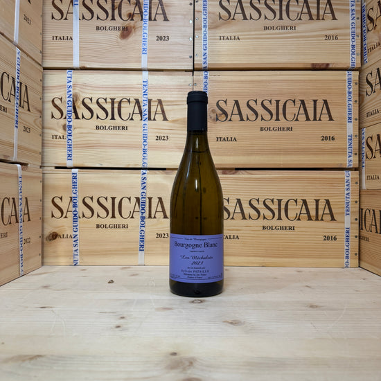 Bourgogne Blanc 2023 Les Mechalots Sylvain Pataille